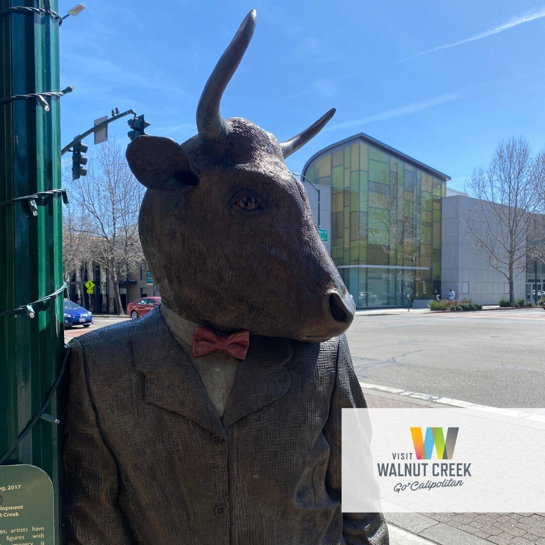 Have YOU seen the Bullman? Visit downtown Walnut Creek and you just might meet our mysterious man about town. As the weather warms up it's also the perfect time to wander around and see the flowers in bloom! ☀️🌸

#VisitWalnutCreek #GoCalipolitan #sf