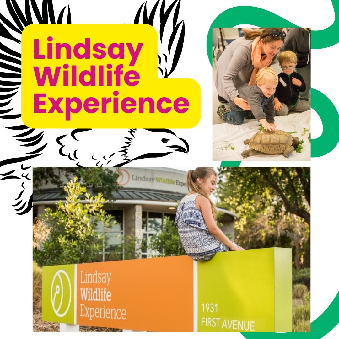 Embark on an adventure for the whole family at Lindsay Wildlife! Discover 40+ animals, interactive exhibit halls, and the Lindsay Wildlife Rehabilitation Hospital. To learn more and plan your visit check out @lindsaywildlife or lindsaywildlife.org

?