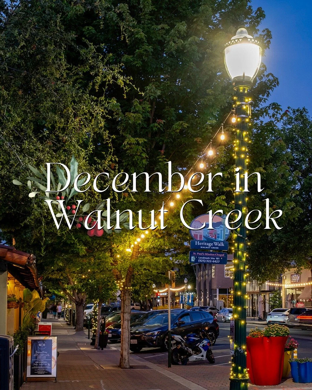 Holiday lights, ice skating downtown, cozy coffee shops, and hometown California charm, that's Walnut Creek in December! ✨

Click the 🔗 in our bio to see more of Walnut Creek!

Holiday Promo: Book your stay between December 15th and December 31st in