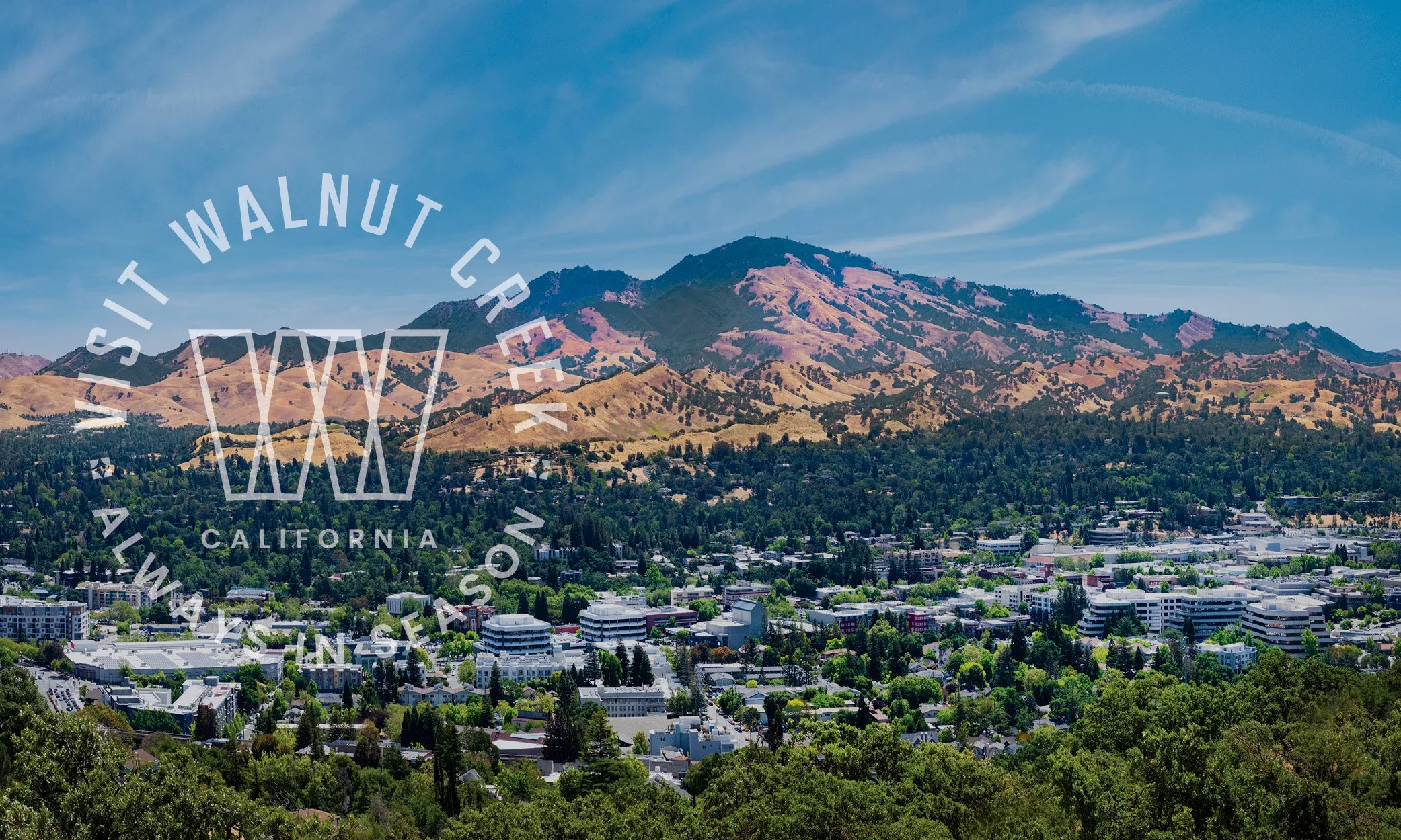 Walnut-Creek-12.jpg