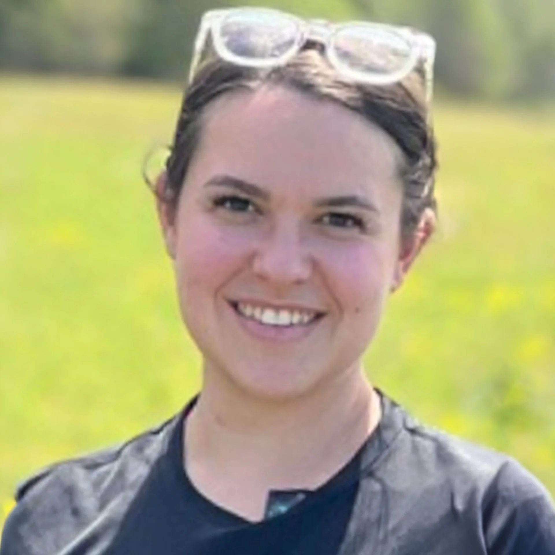 Logo for Helio Greentech featuring the company name with a stylized sun and leaf design.