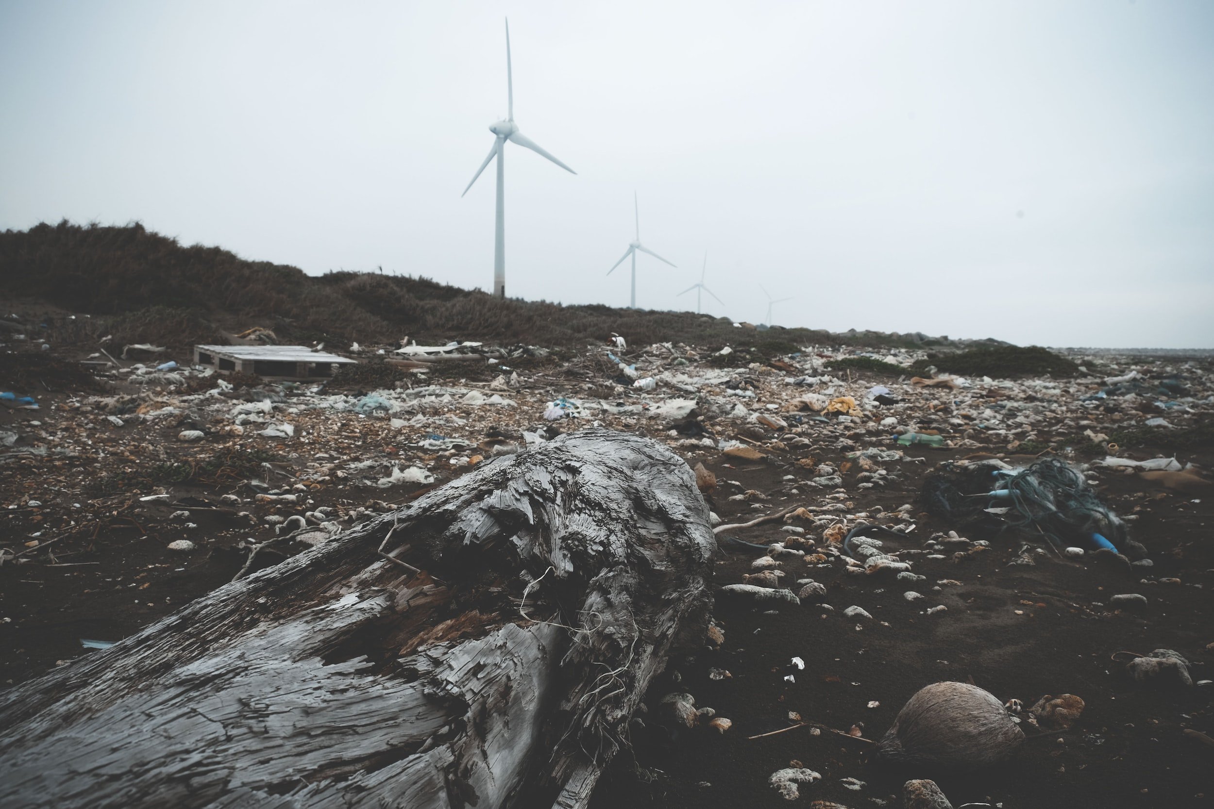 7 Easy Ways for Families to Reduce Single-Use Plastic at Home