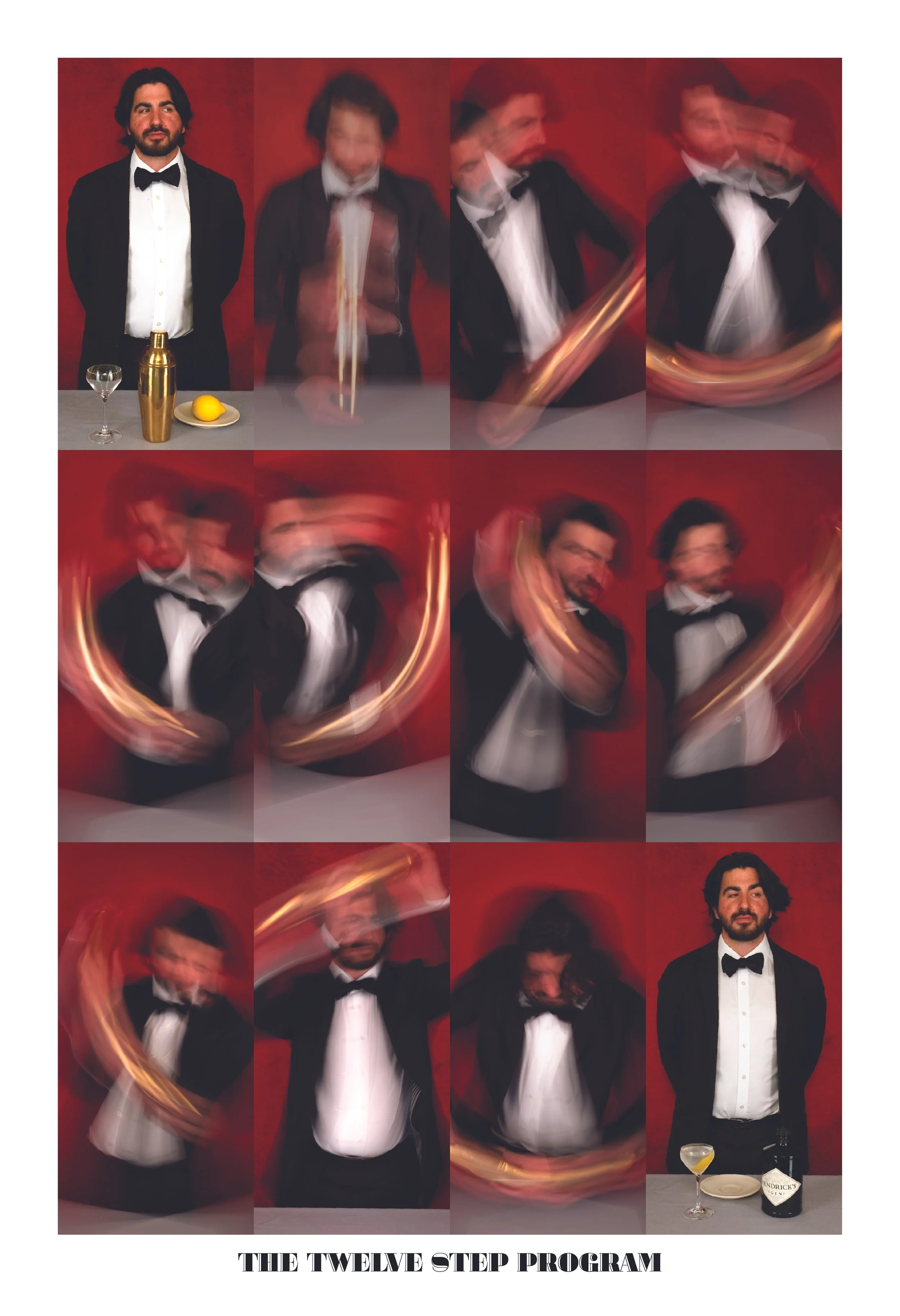 12 Step Program PosterGIN Revised.jpg