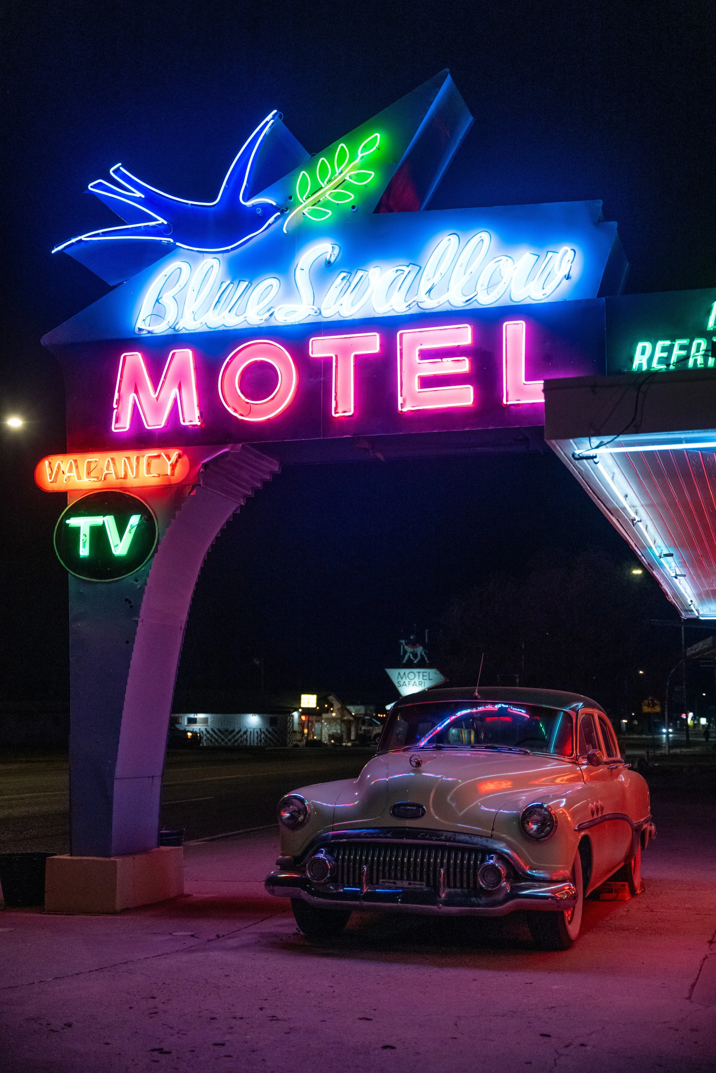 L1190365 smaller.jpeg