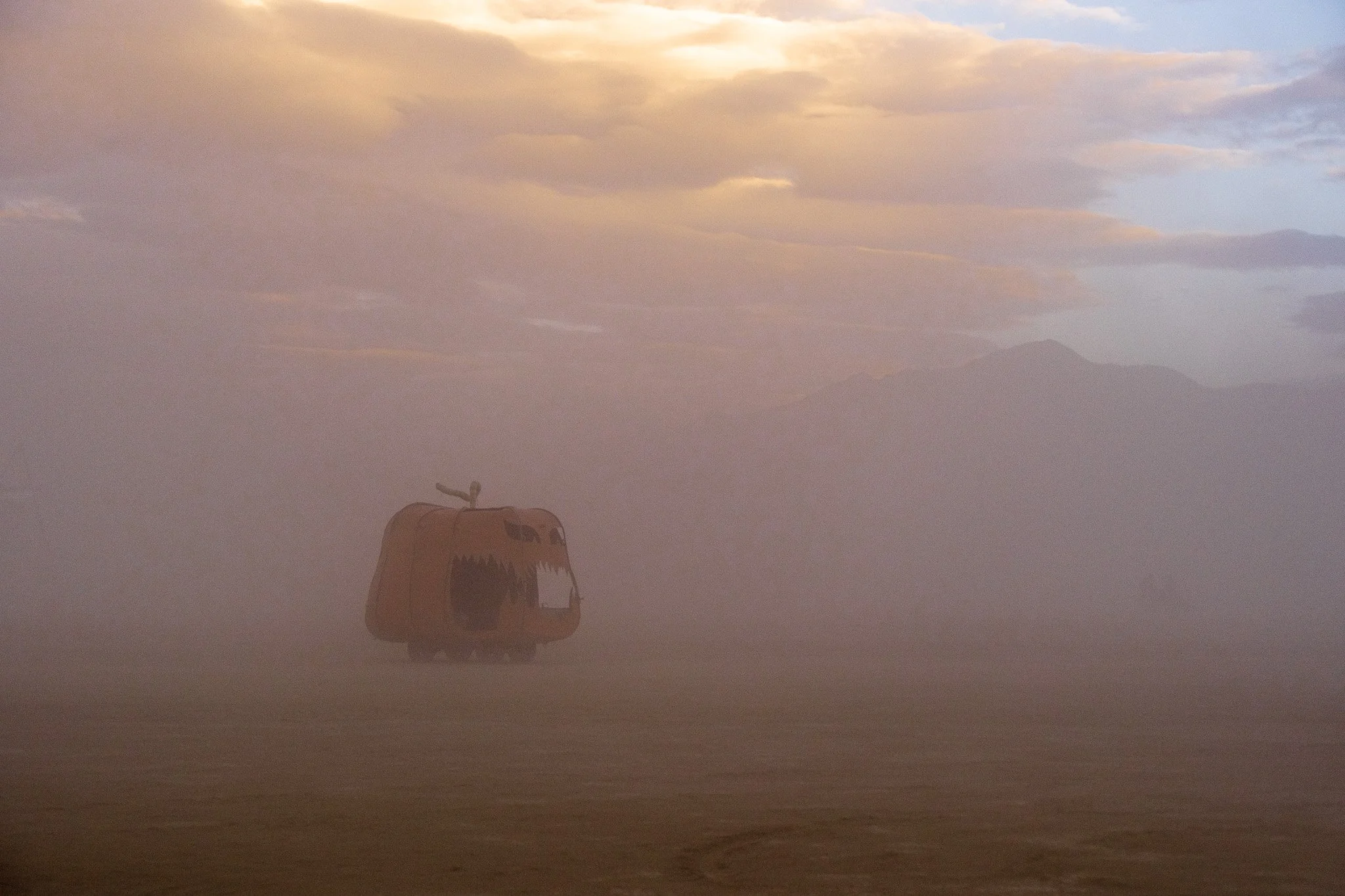 _DSF0691.jpg