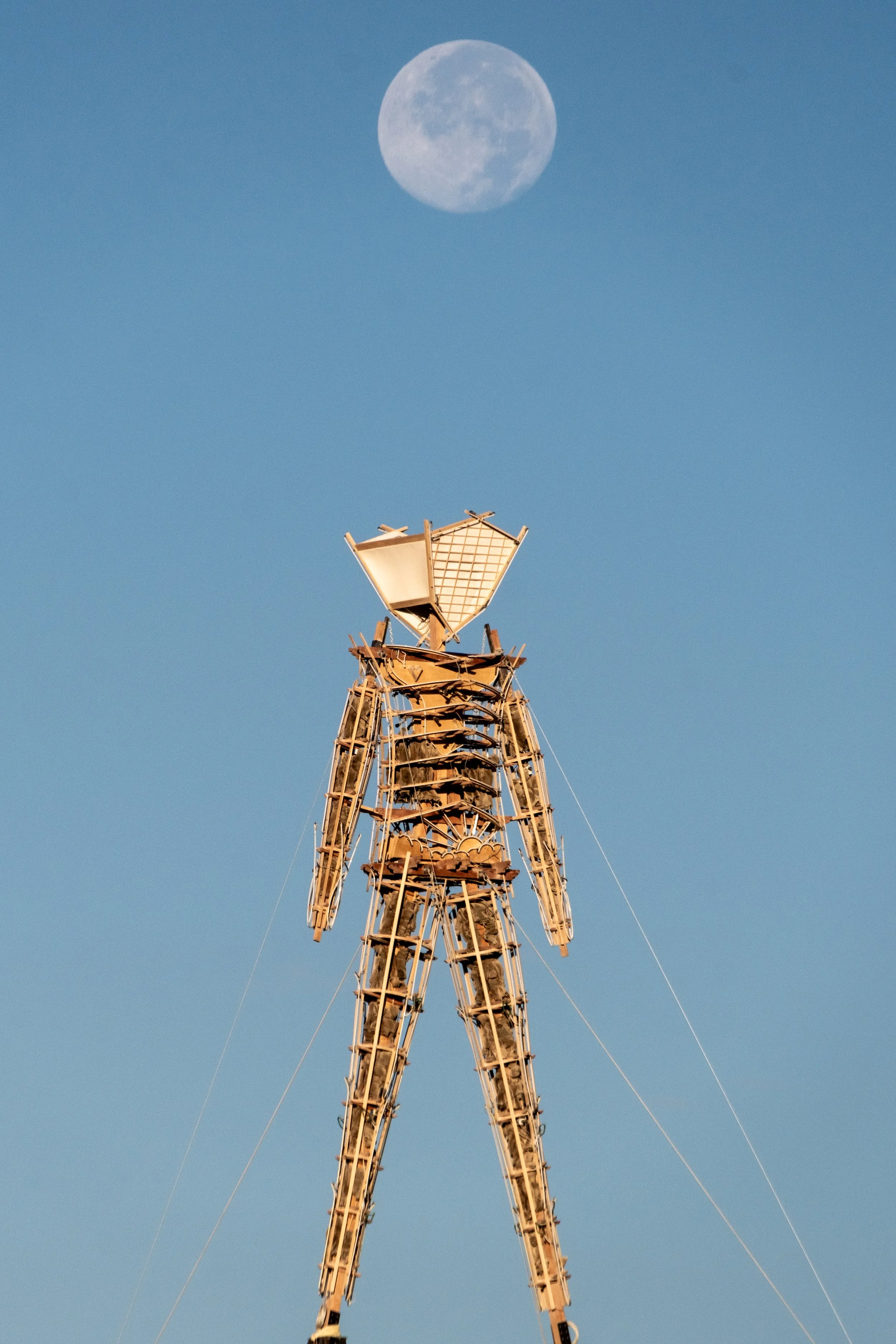 _DSF1246.jpg