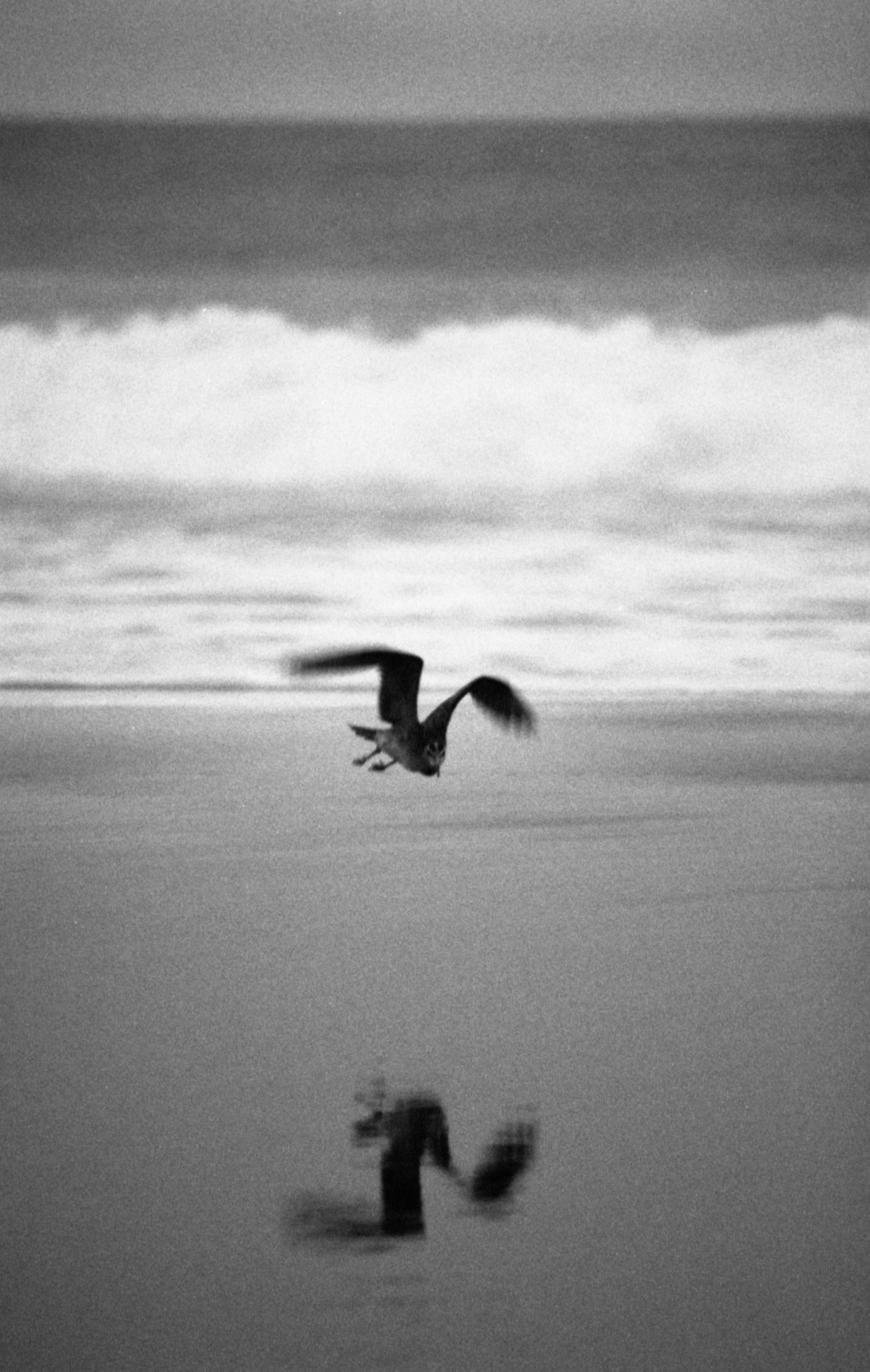 Pun Intentions0024-Edit.jpg