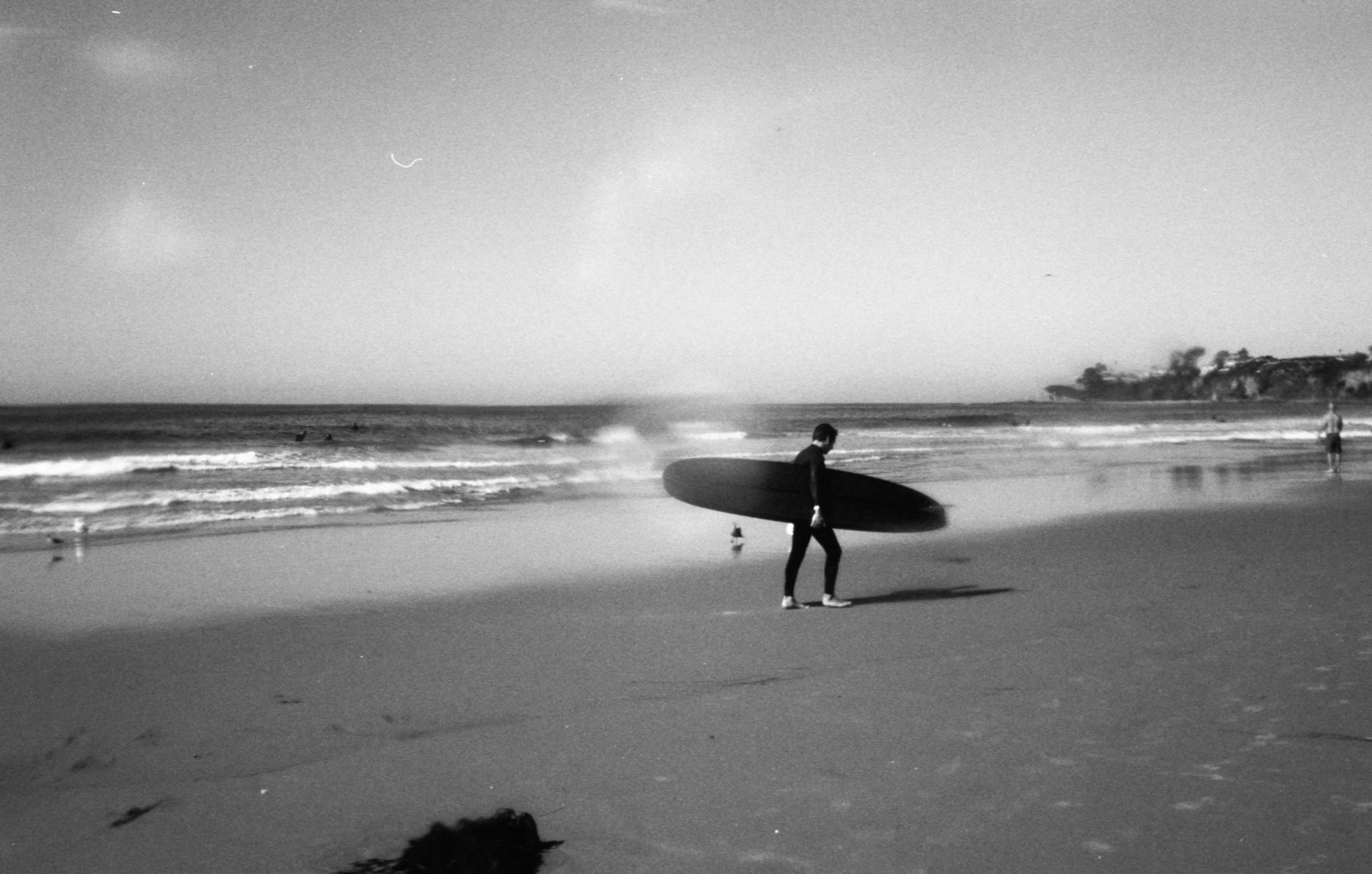 Arista EDU test20231122_0008.jpg