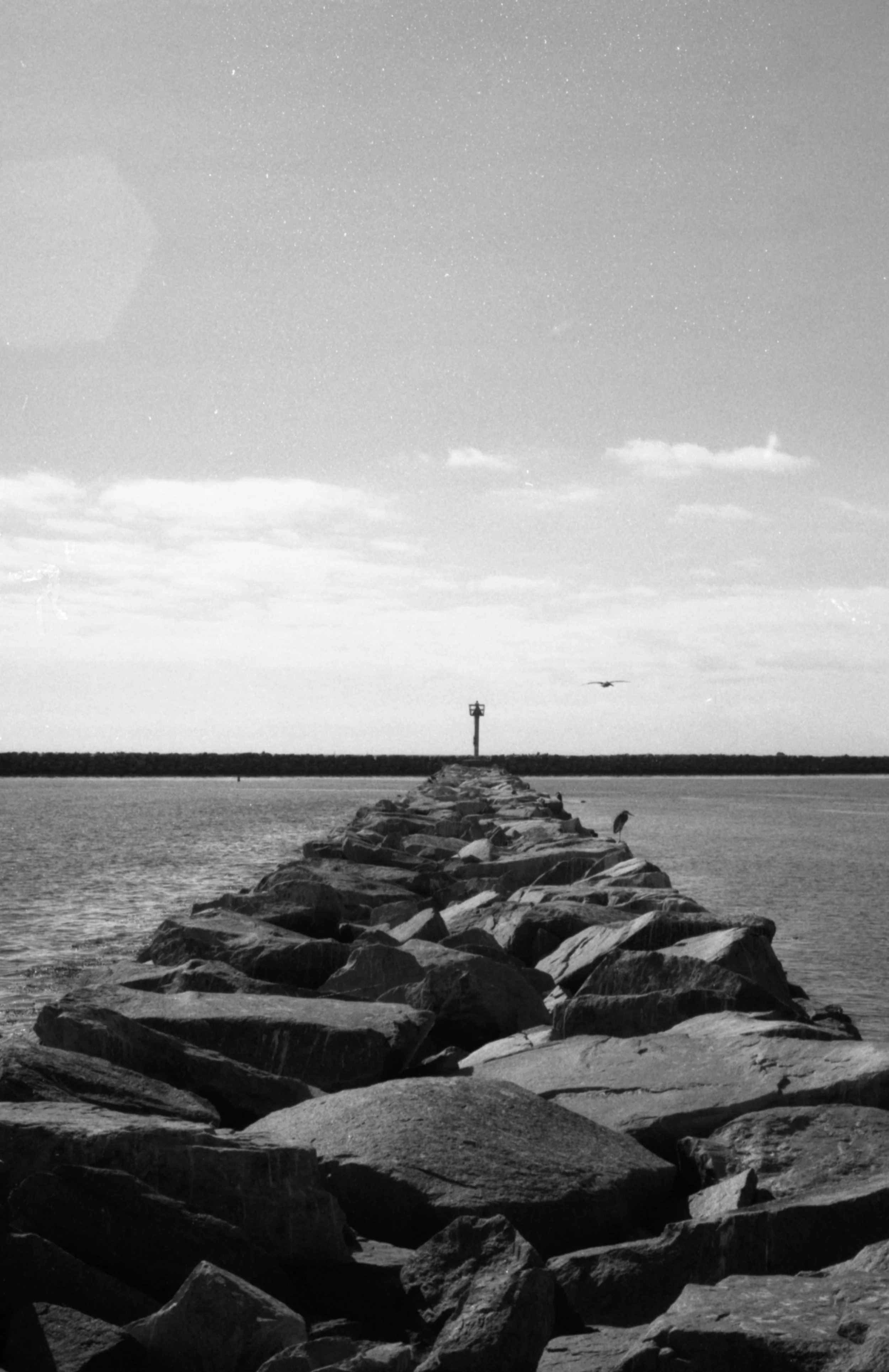 Kentmere Pan 100 R50004.jpg