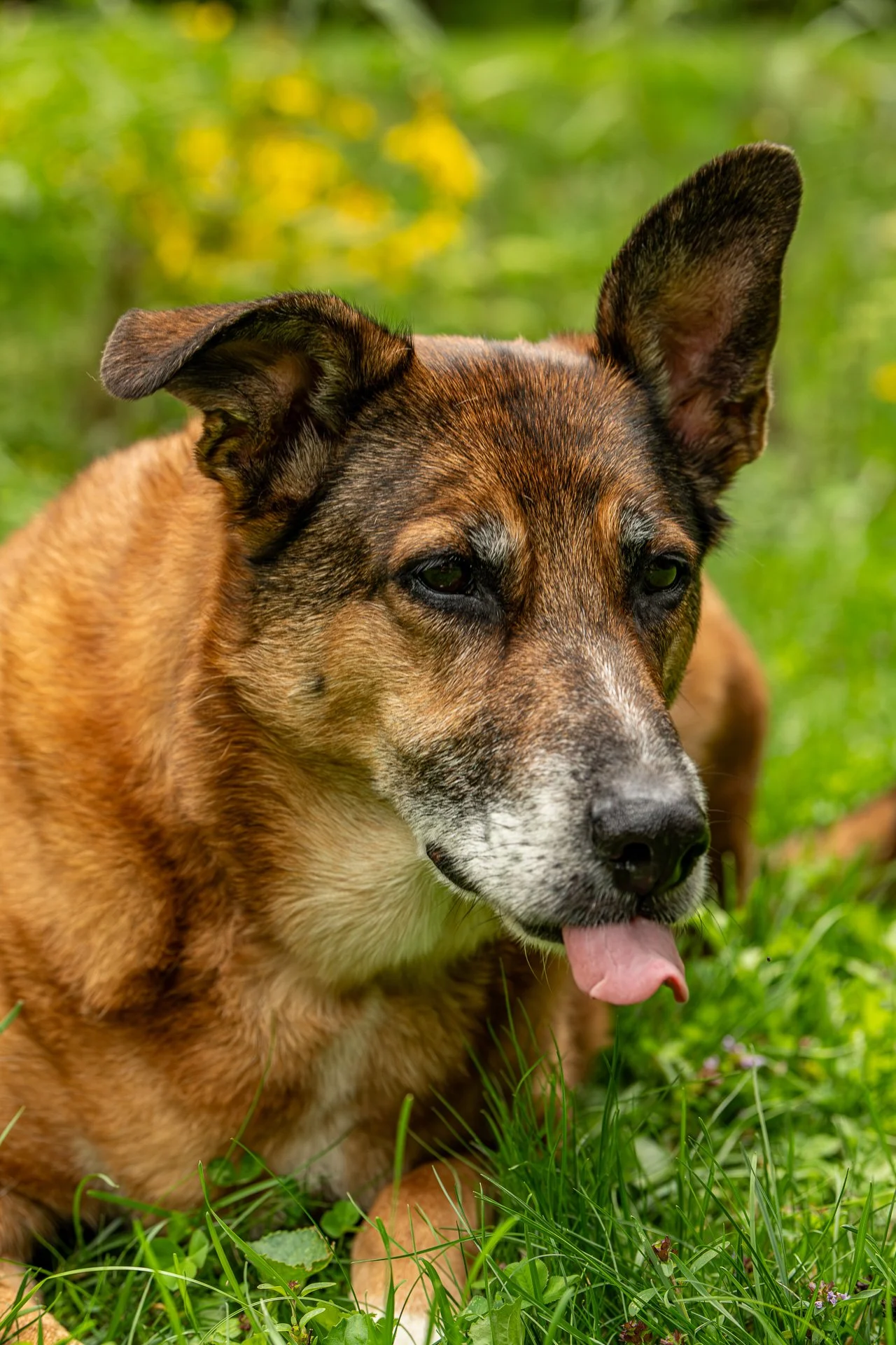 DSC_2656.jpg