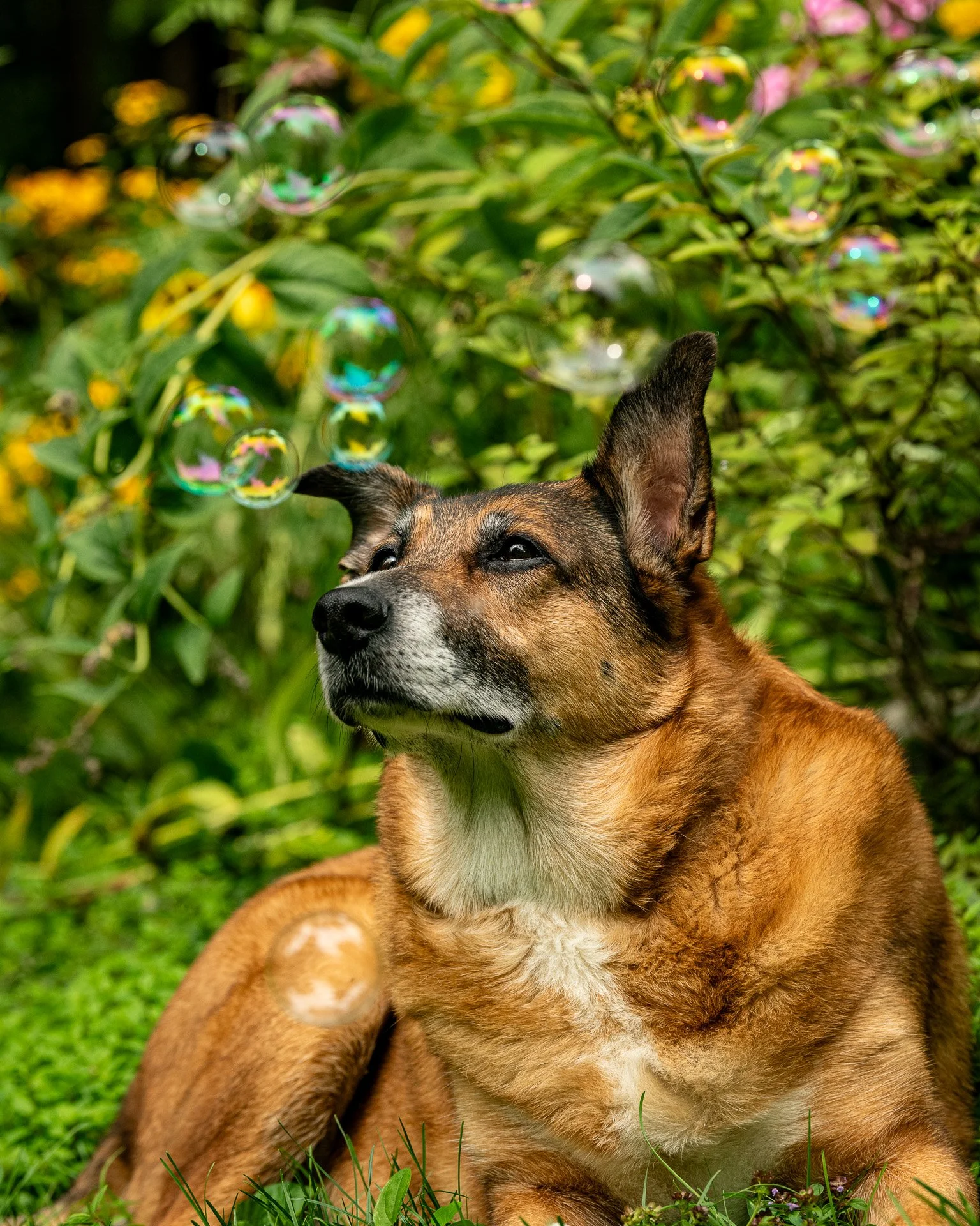 DSC_2421.jpg