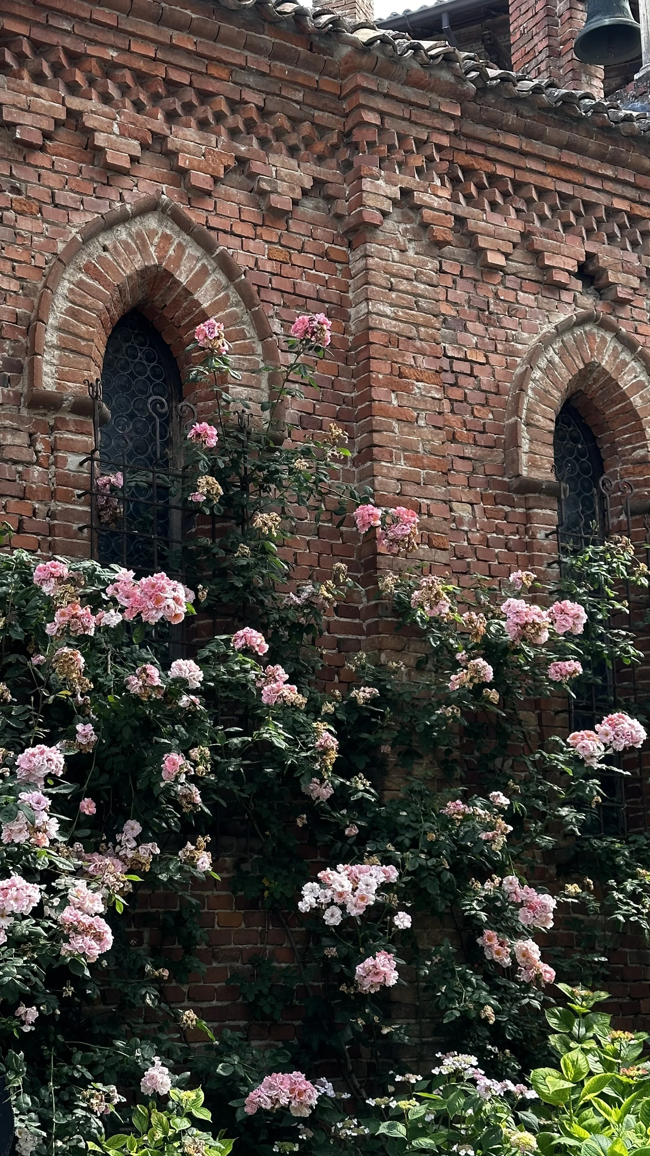 Martina goes to Piacenza the guide for the perfect road trip_3.jpg