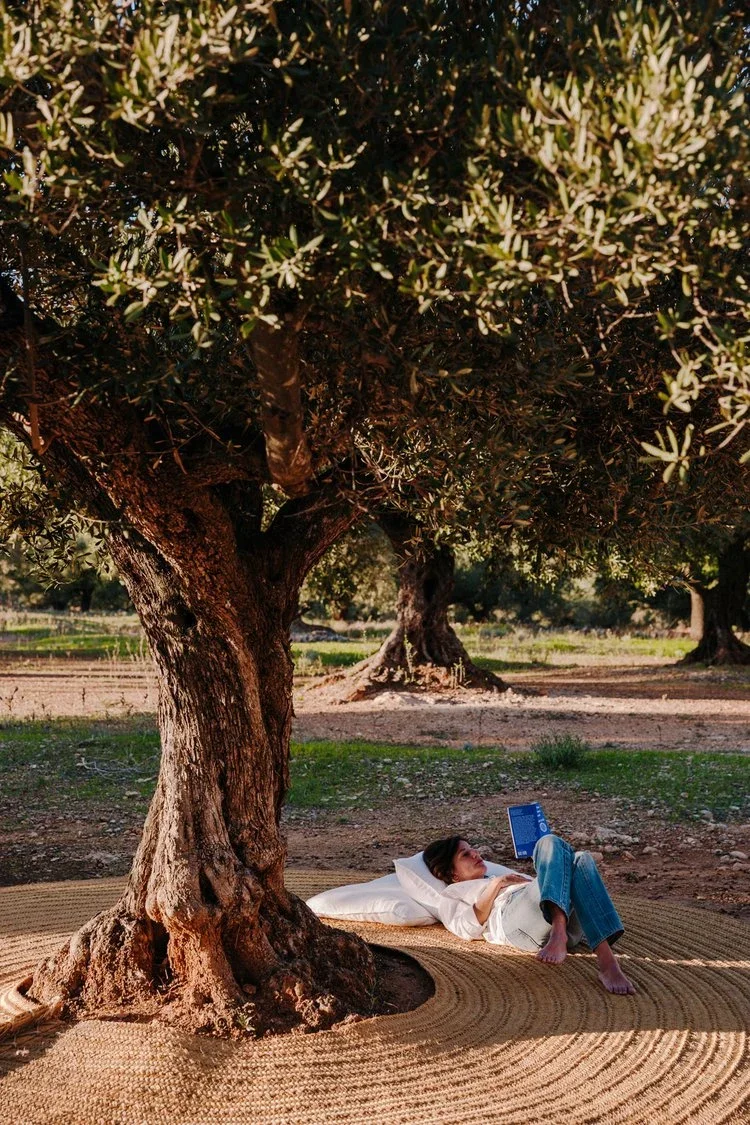 The Art of Living Well: How to Find Beauty in Everyday Moments