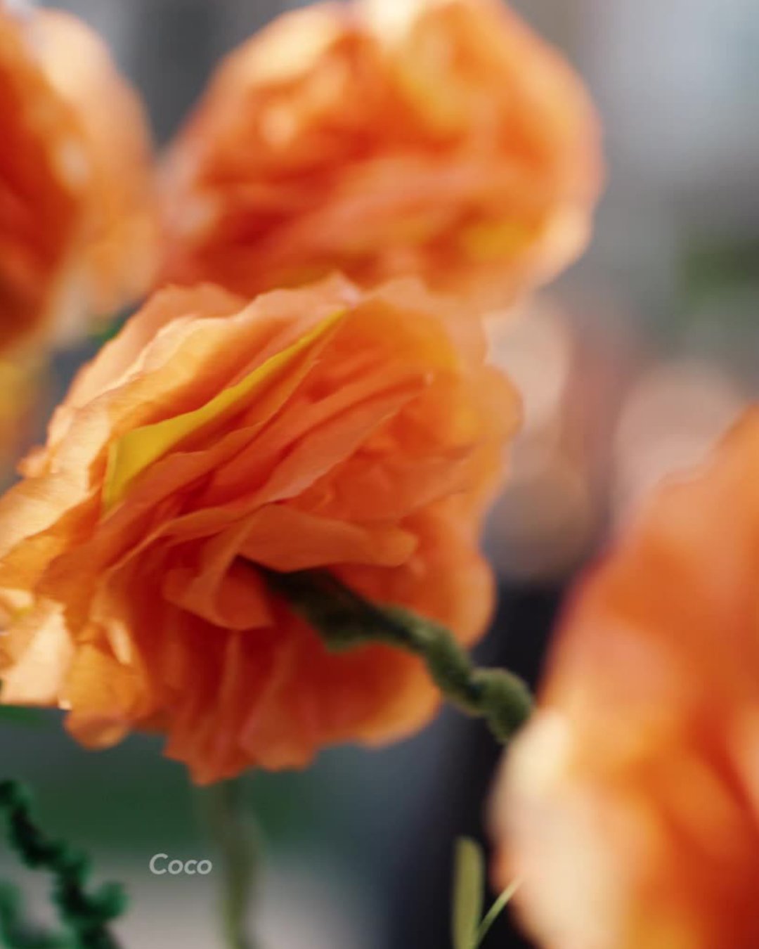 Disney Hits Feature Carousel 4/5