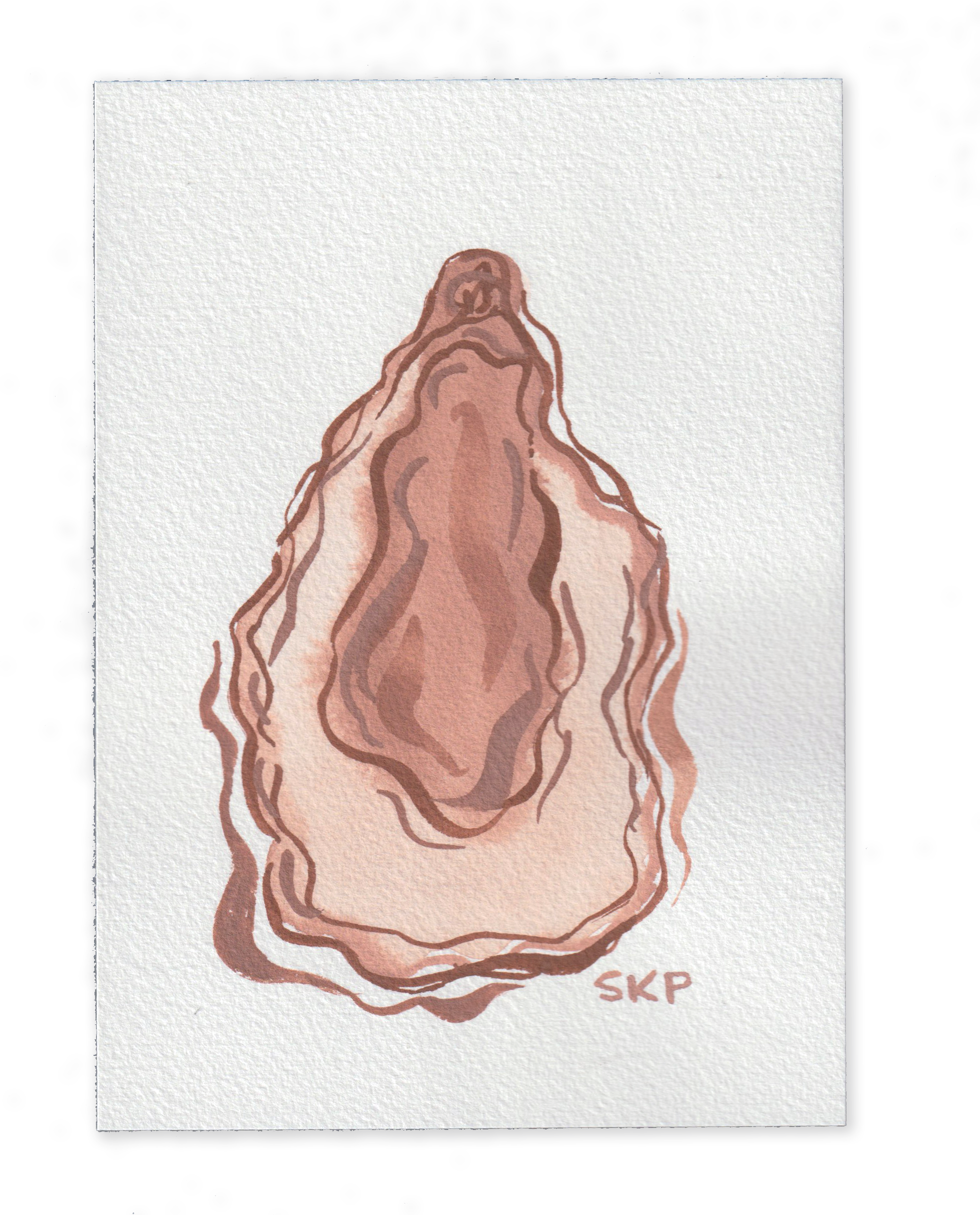 Oyster 19