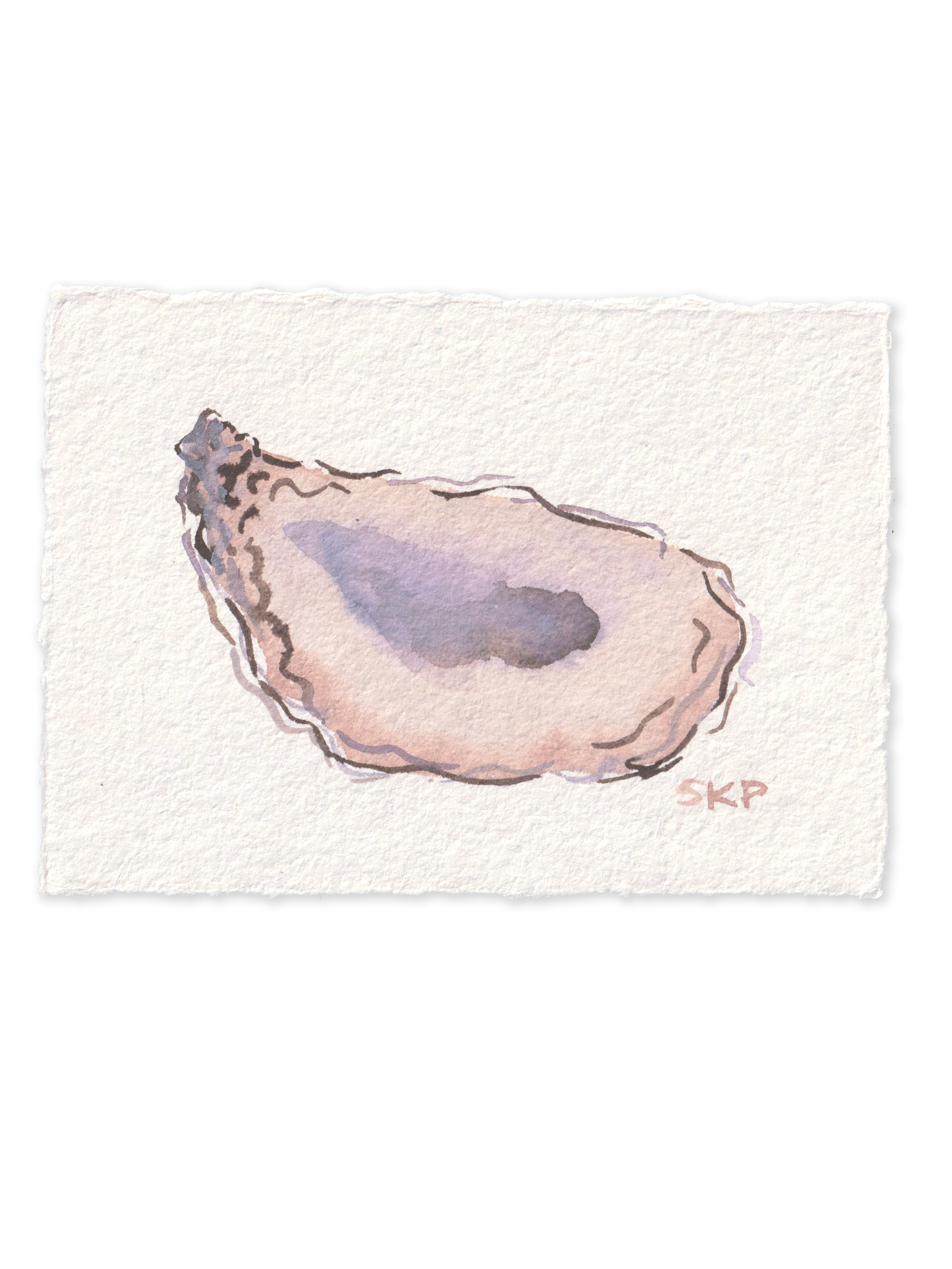 Oysters Aug2026 7.png