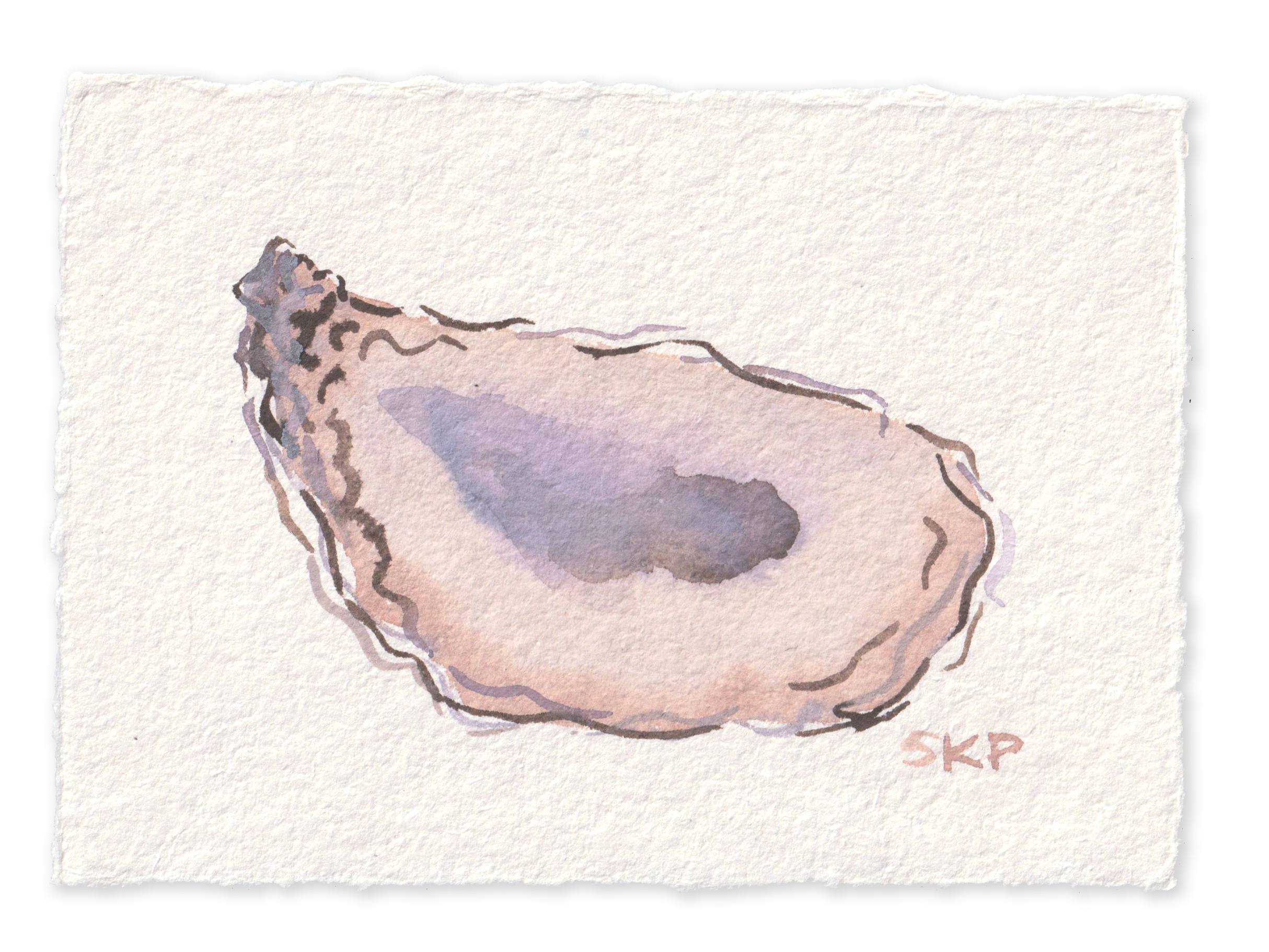 Oysters Aug2026 7.png
