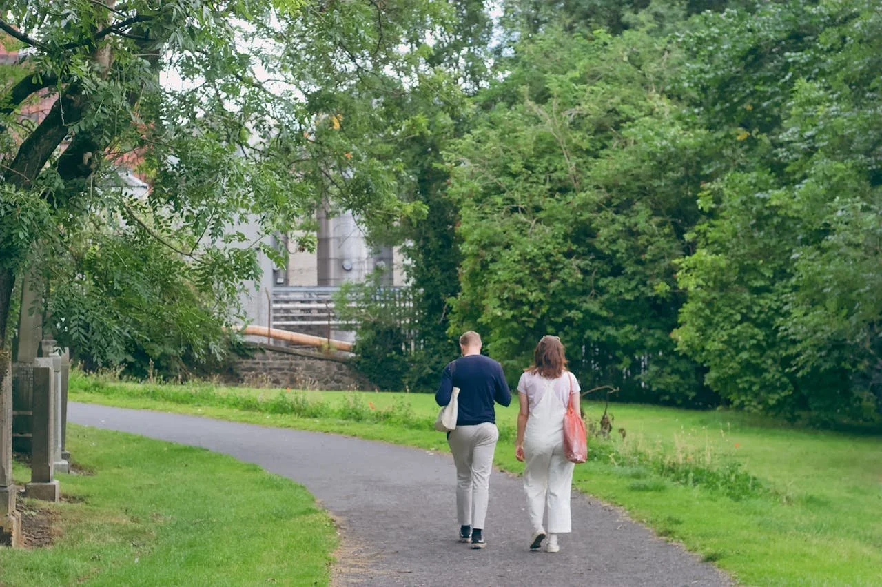 What Is Forest Bathing? A DC Therapist’s Guide to Nature Therapy
