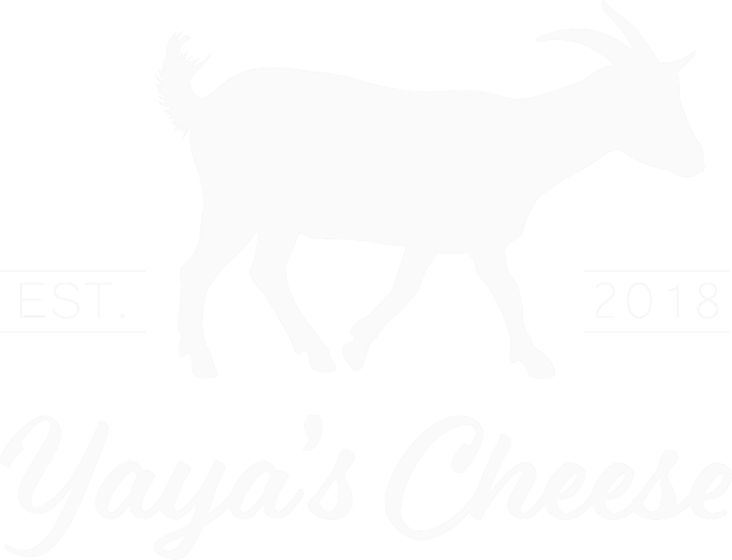 YAYA&#39;S HALLOUMI CHEESE