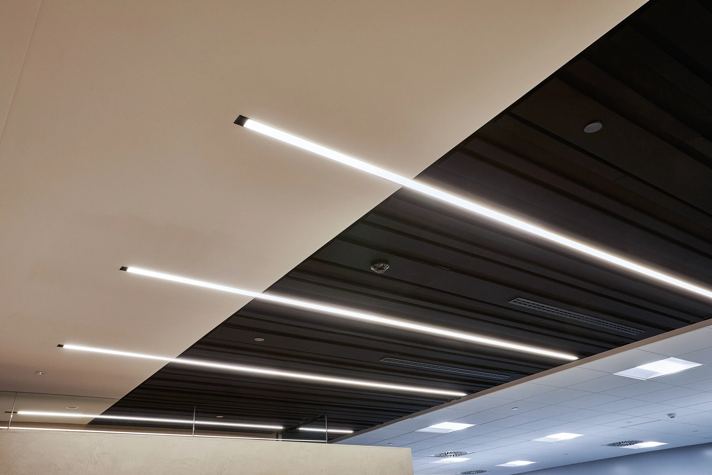 2.1 - Close up Ceiling Transition Over Reception-2.jpg