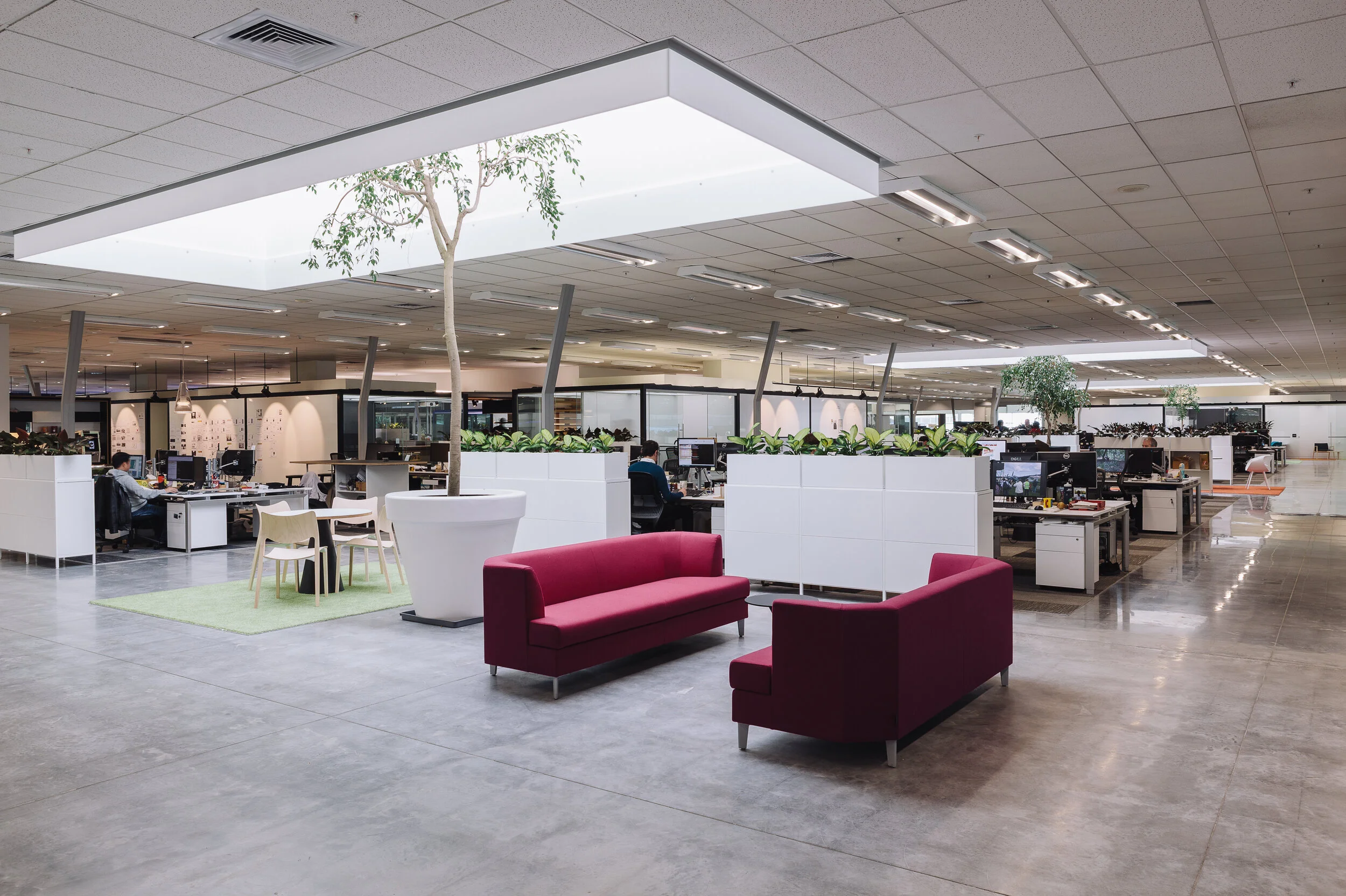 F&P.office-219.jpg
