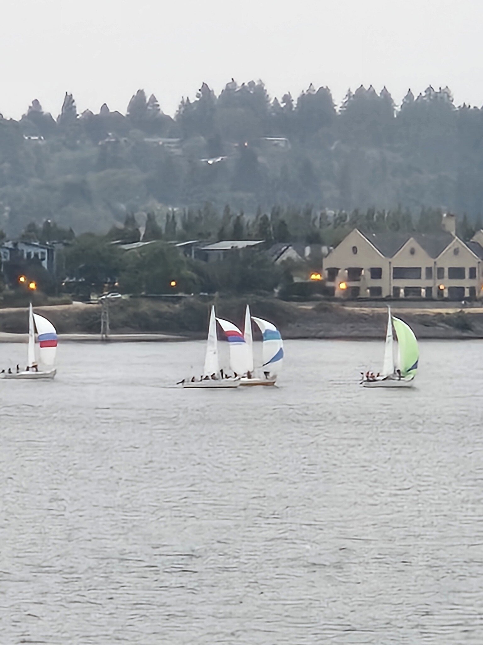 Look at the Island Sailing race team go with the beautiful spinnakers!  The boat names are Quintessence, Whasabi, Straight Shot, Frankly, and Exit Strategy.  The J/24 is the world's most popular keelboat class, with over 5,500 boats built and over 50