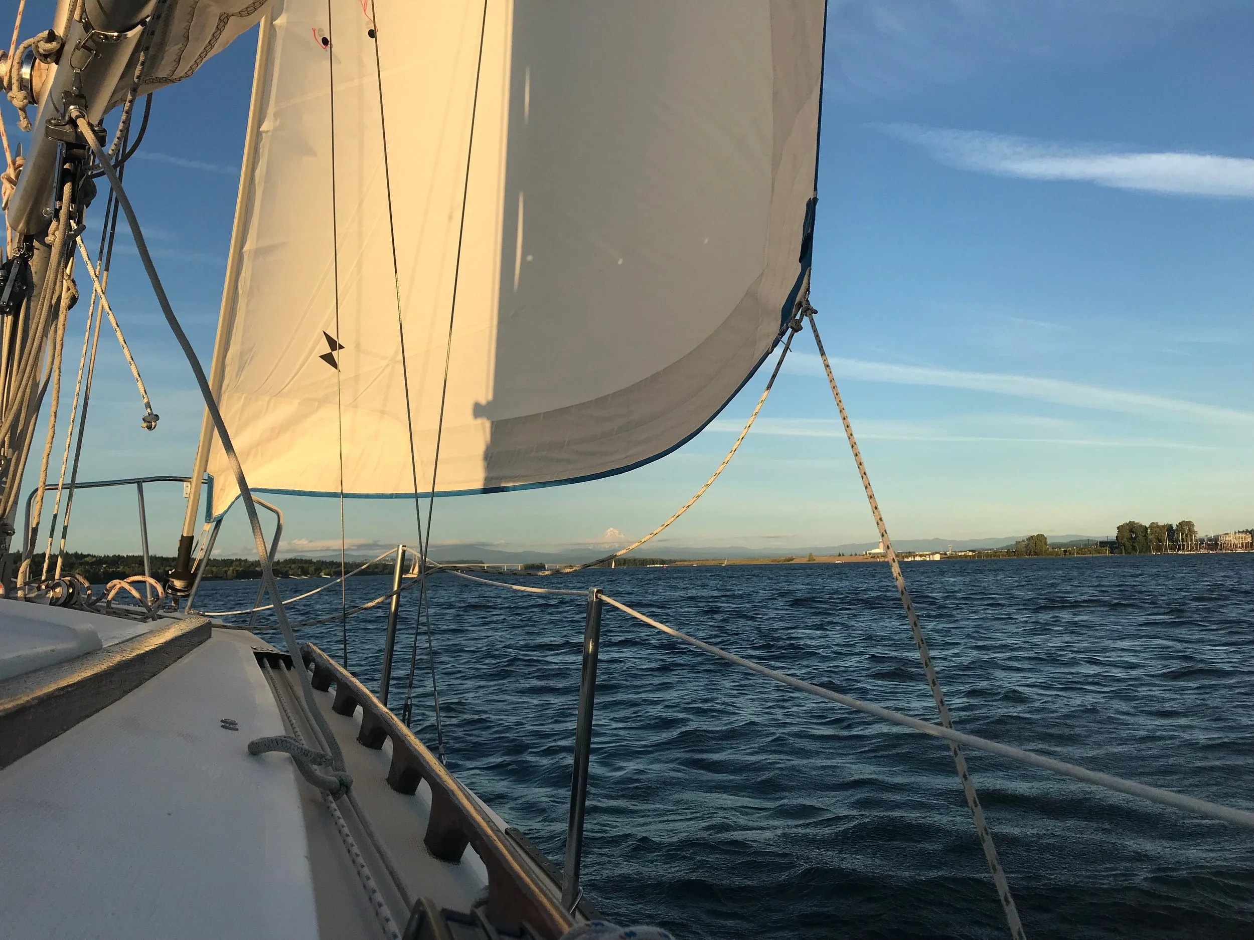 February 2026 Member  Newsletter