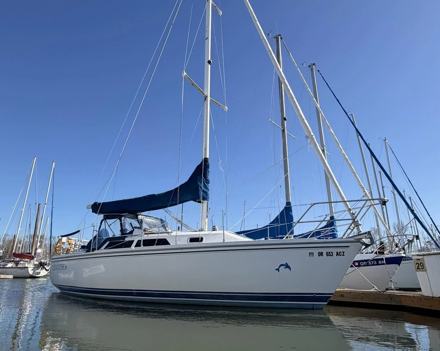 You may have seen a new face walking up D row recently! 

Island Sailing recently added a meticulously maintained 1993 Catalina 28 to the fleet, named Leucothea. She has new running rigging, new main and head sails, a propane heater, a Garmen Chart p
