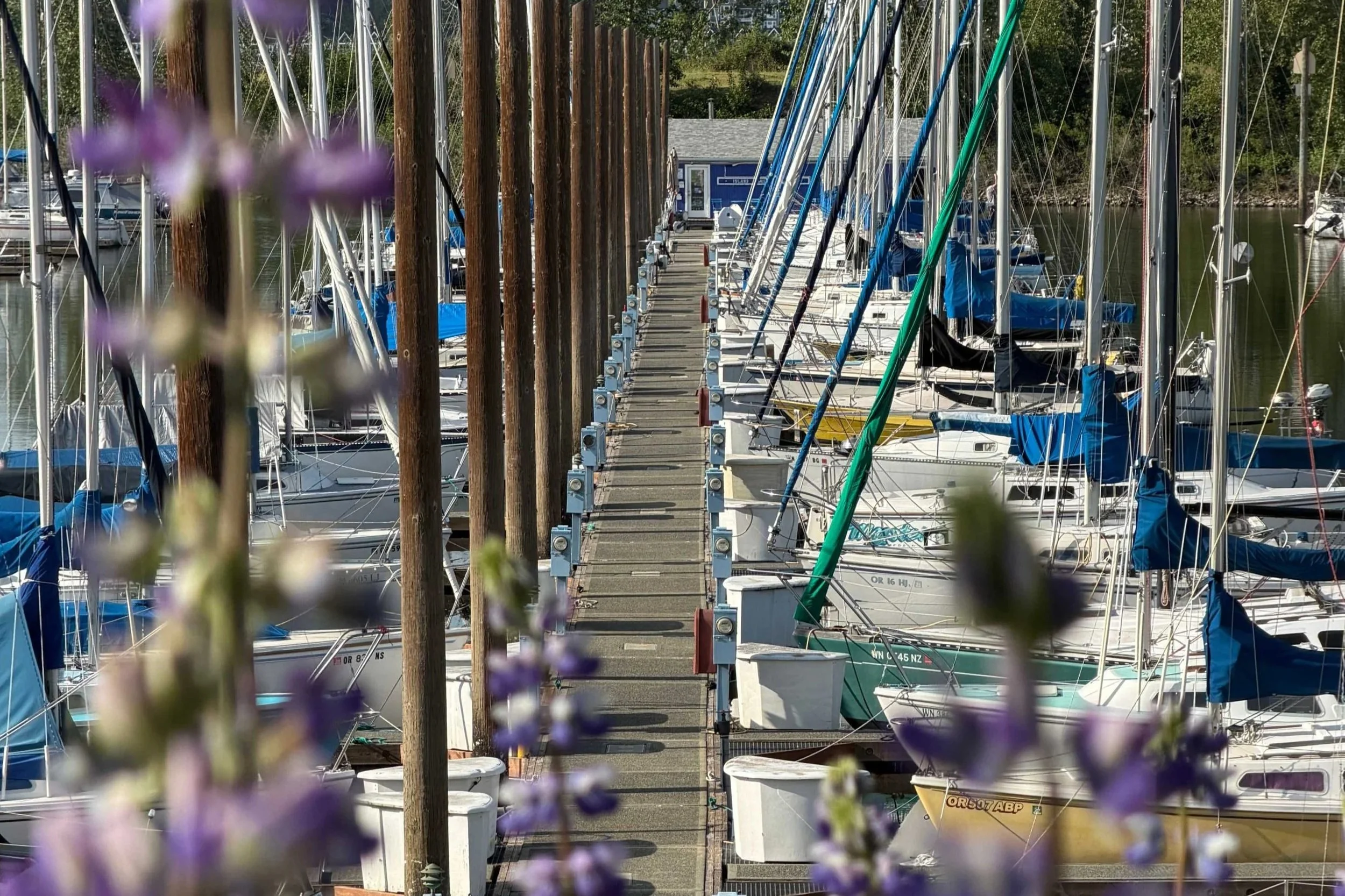 May 2026 Member Newsletter