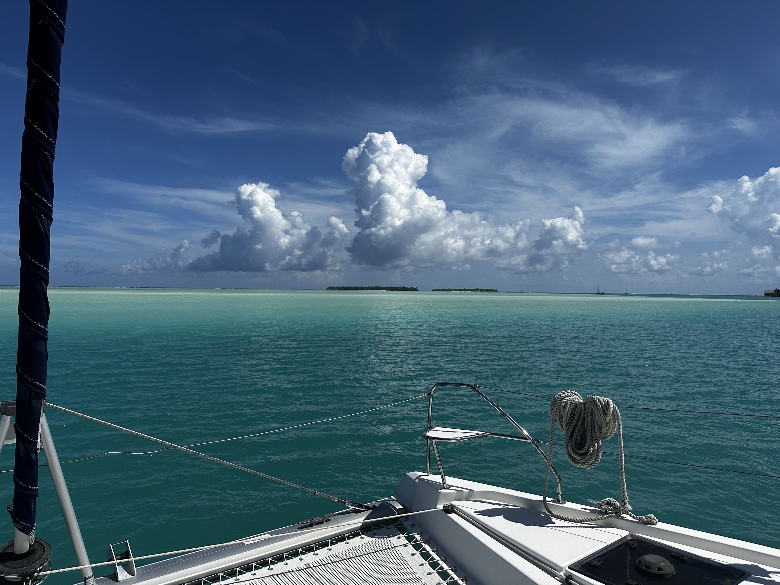 Island Sailing School — Island Sailing School & Club