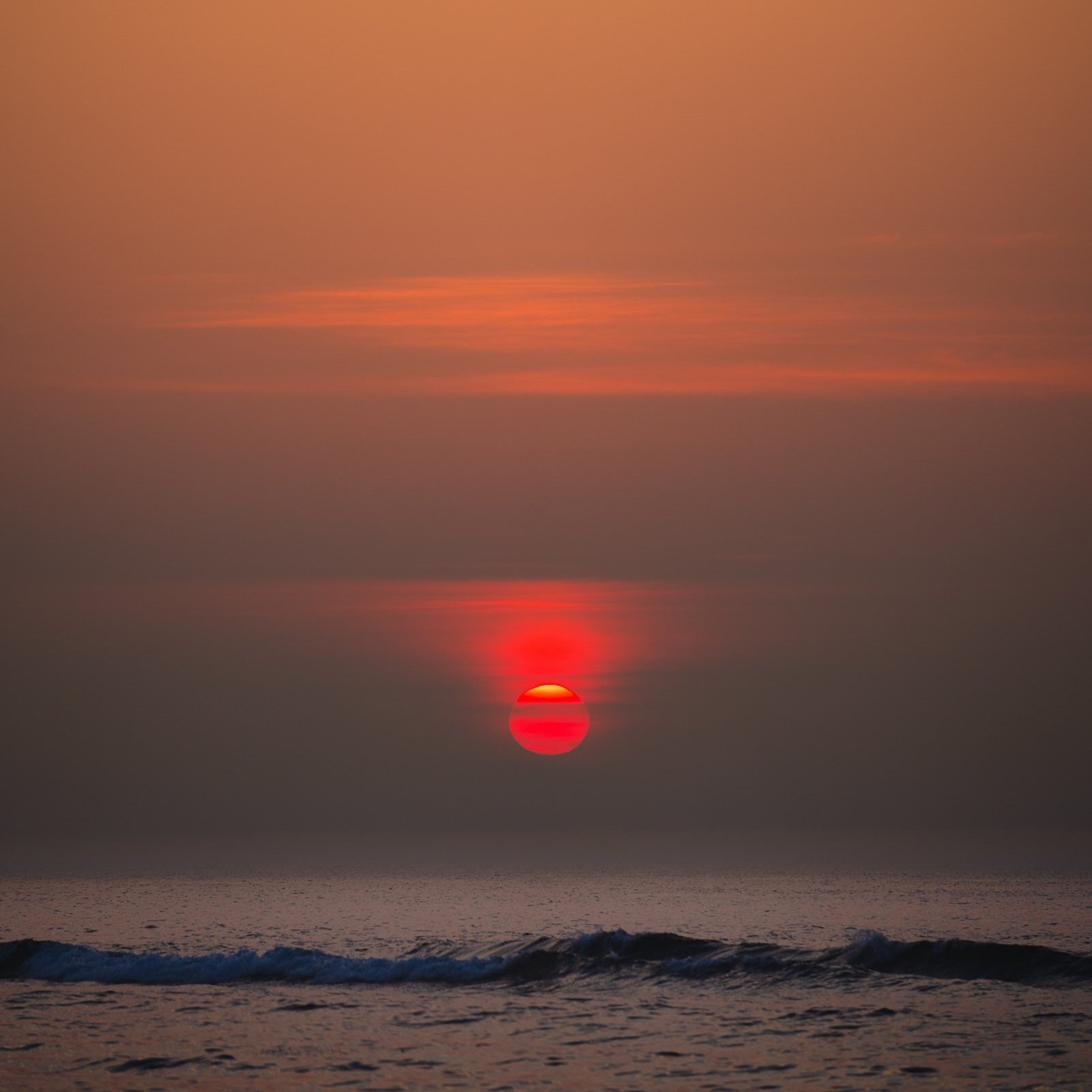 Endless Summer