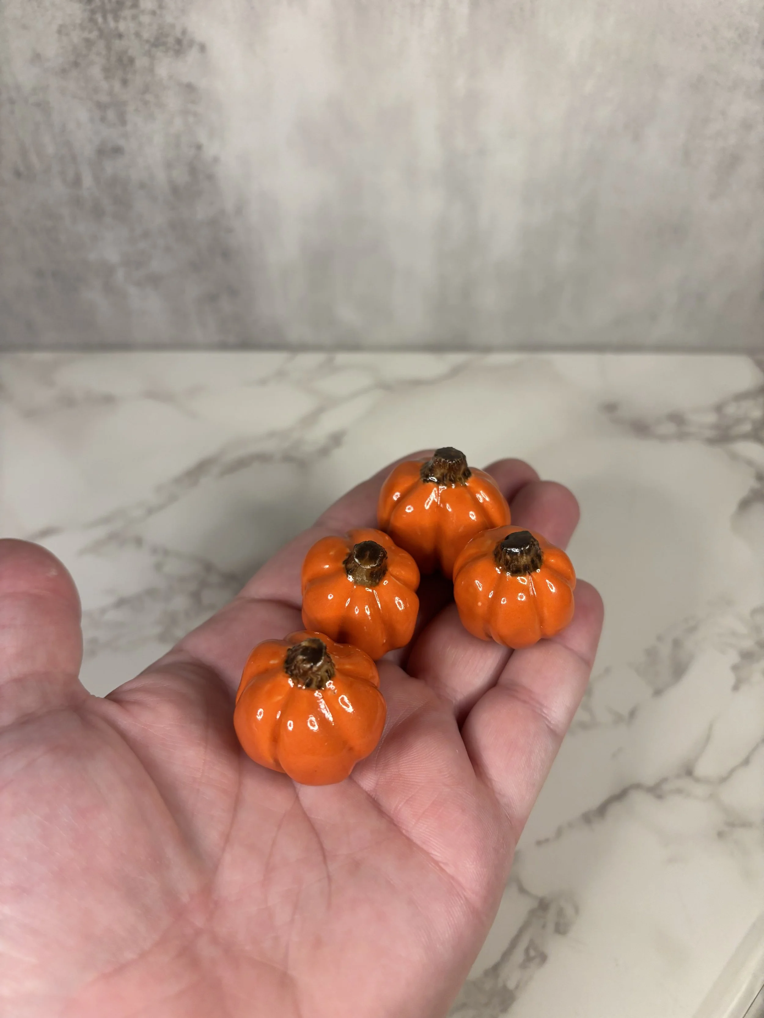 IMG_4241.jpeg