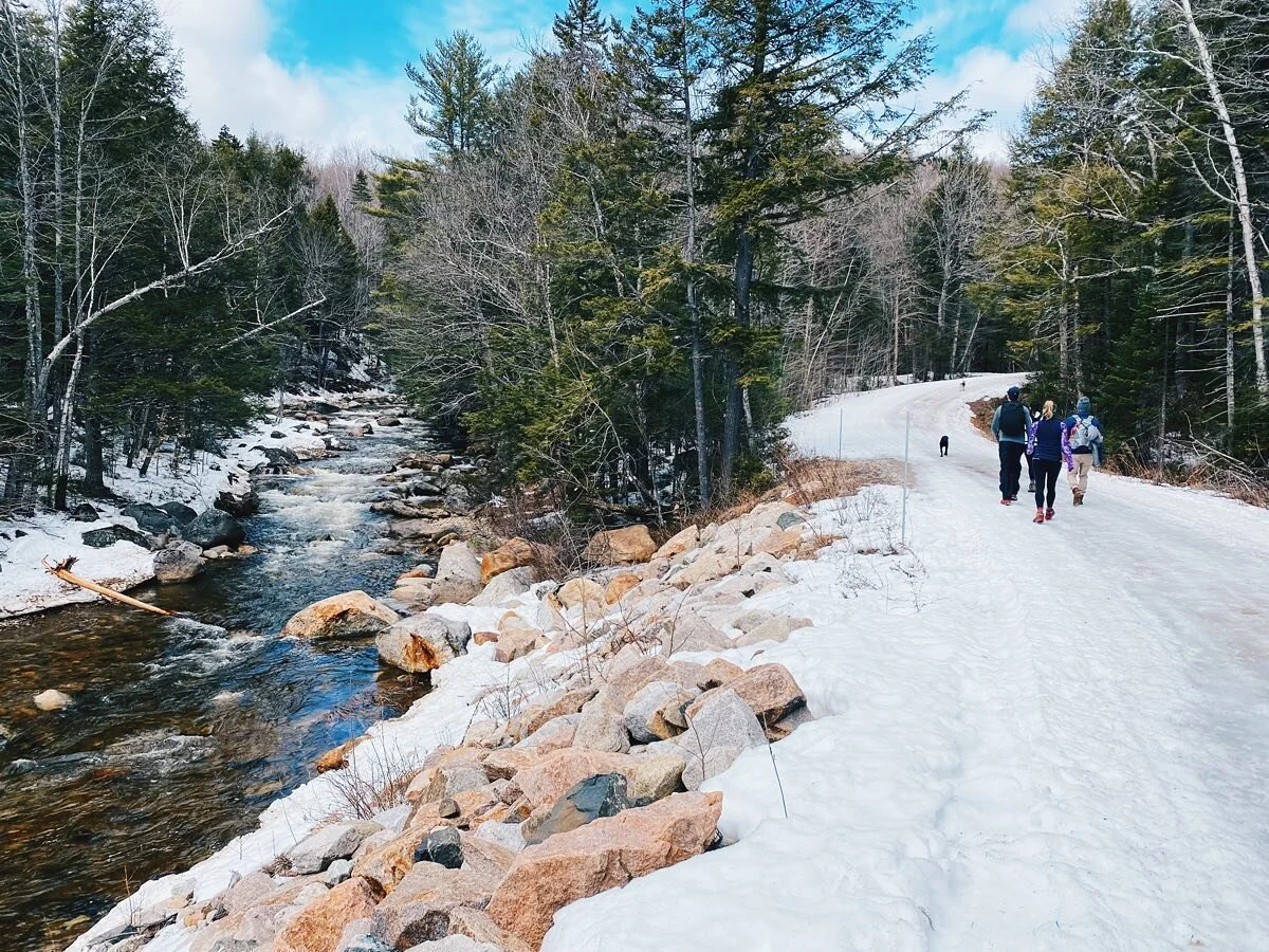 10/10 recommendation