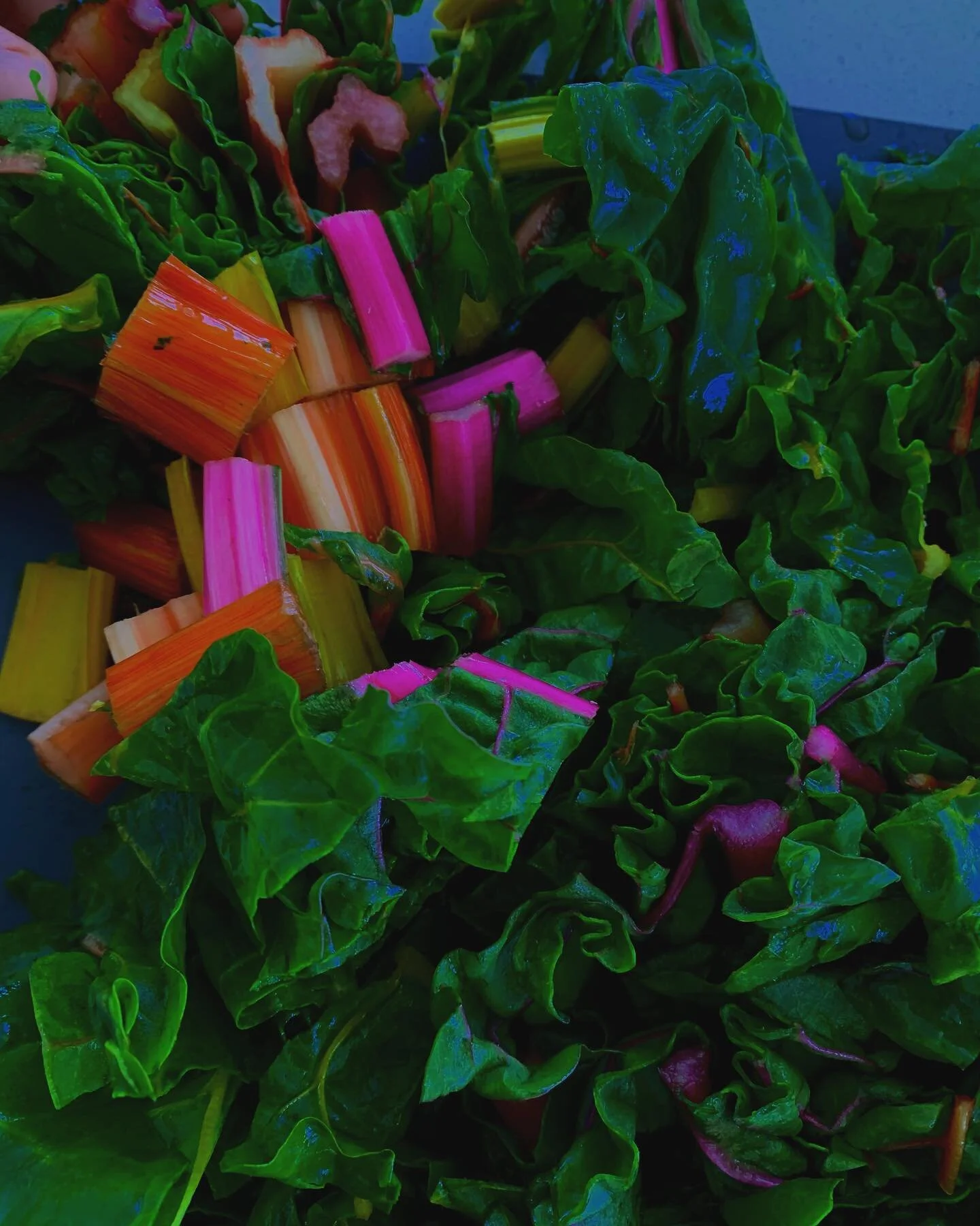 PARASITES ⁣
&mdash; ⁣
After 7 years of bloating, severe stomach discomfort, gastro + gut specialist appointments, countless blood tests ( all deemed normal ) I finally invested in working with a functional medicine doctor. After completing a stool te