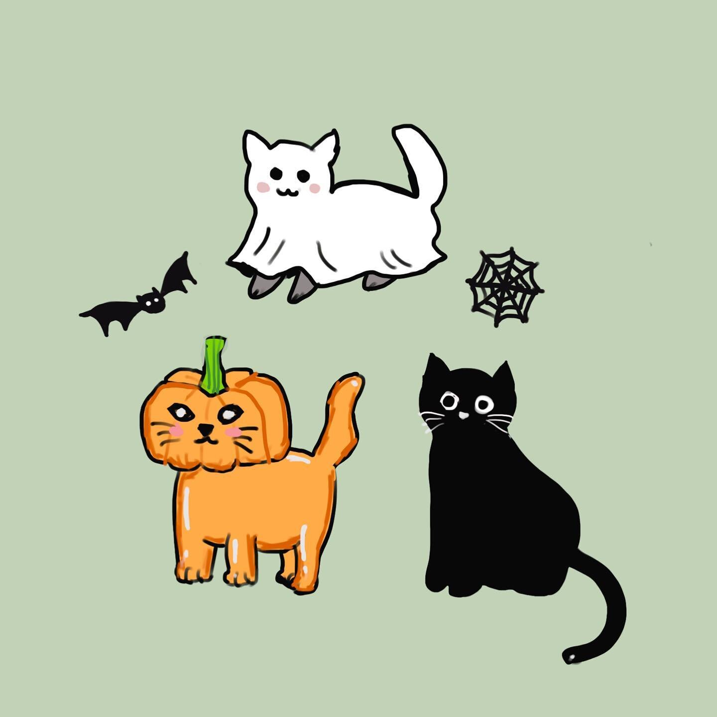 hallo kitties