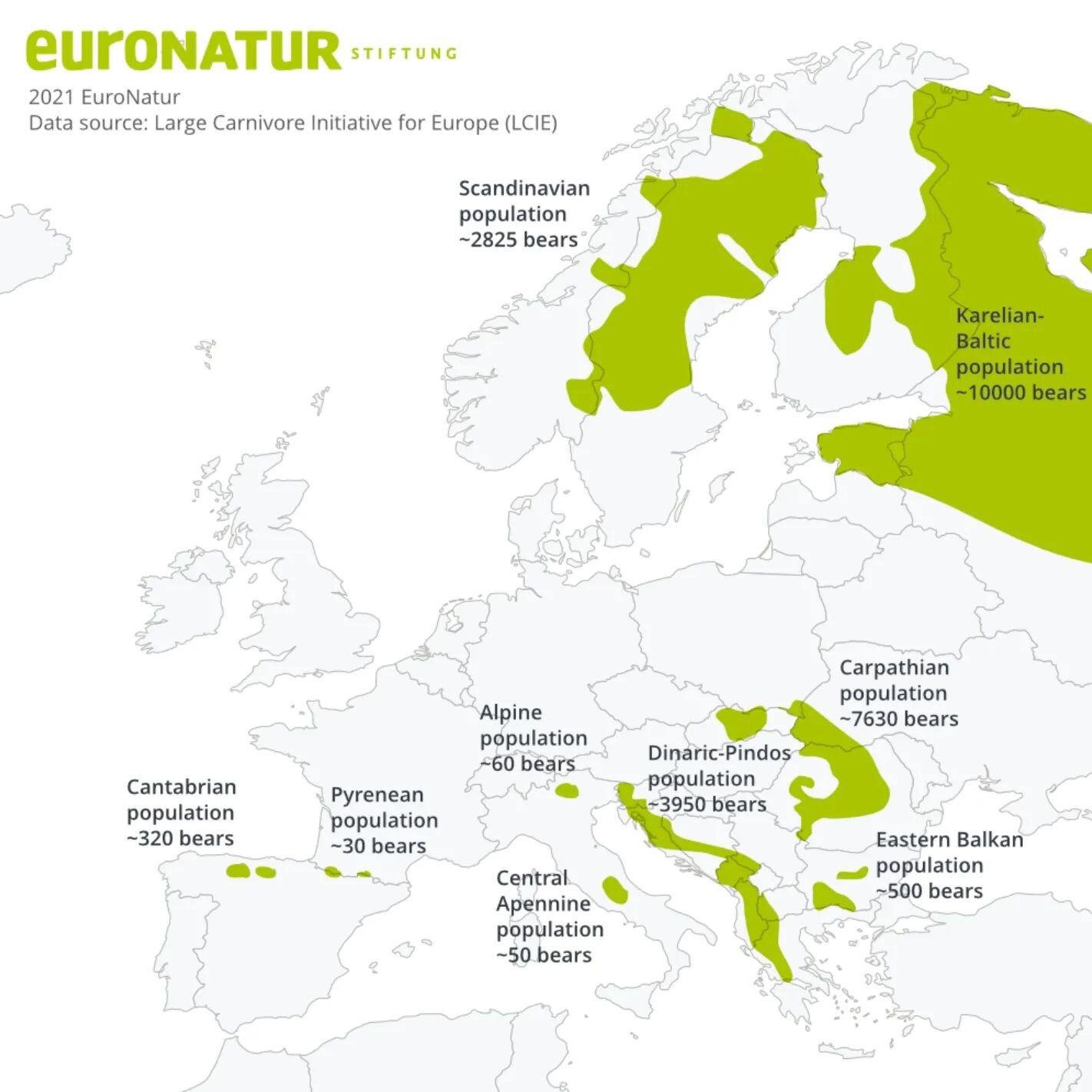 We've had quite a few folks asking us where the bears are, so here's a little something for all the bear enthusiasts out there! 🍯

Did you know?

🌎 Europe is home to a thriving population of brown bears! These magnificent creatures inhabit the dens