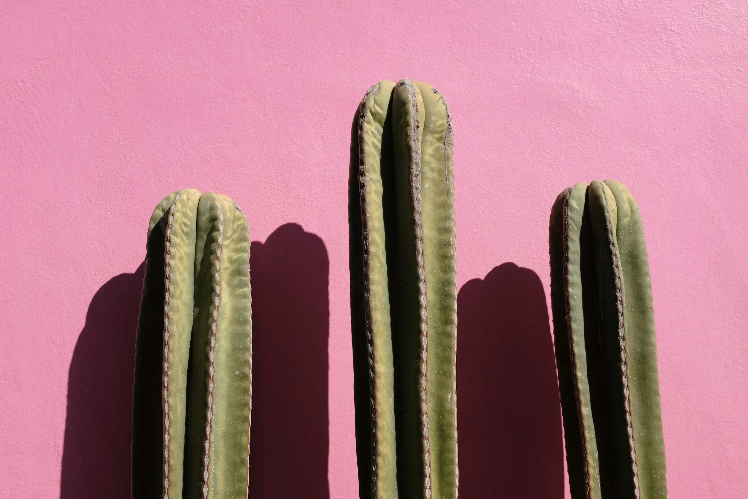 unsplash-image-W2G-PO-wkCU.jpg