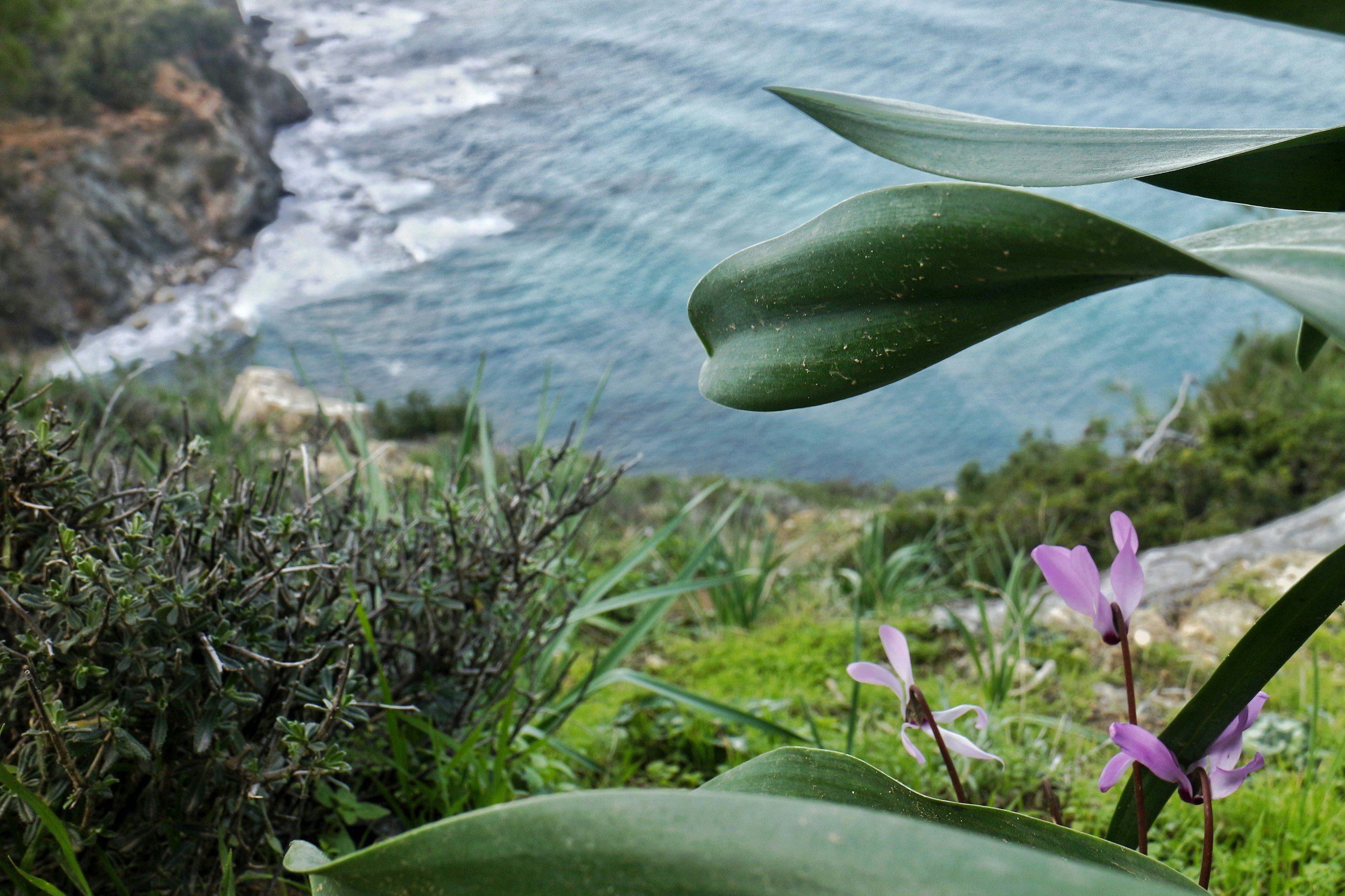 Hyperfocus, Crash, Repeat: When Your Energy Comes in Waves