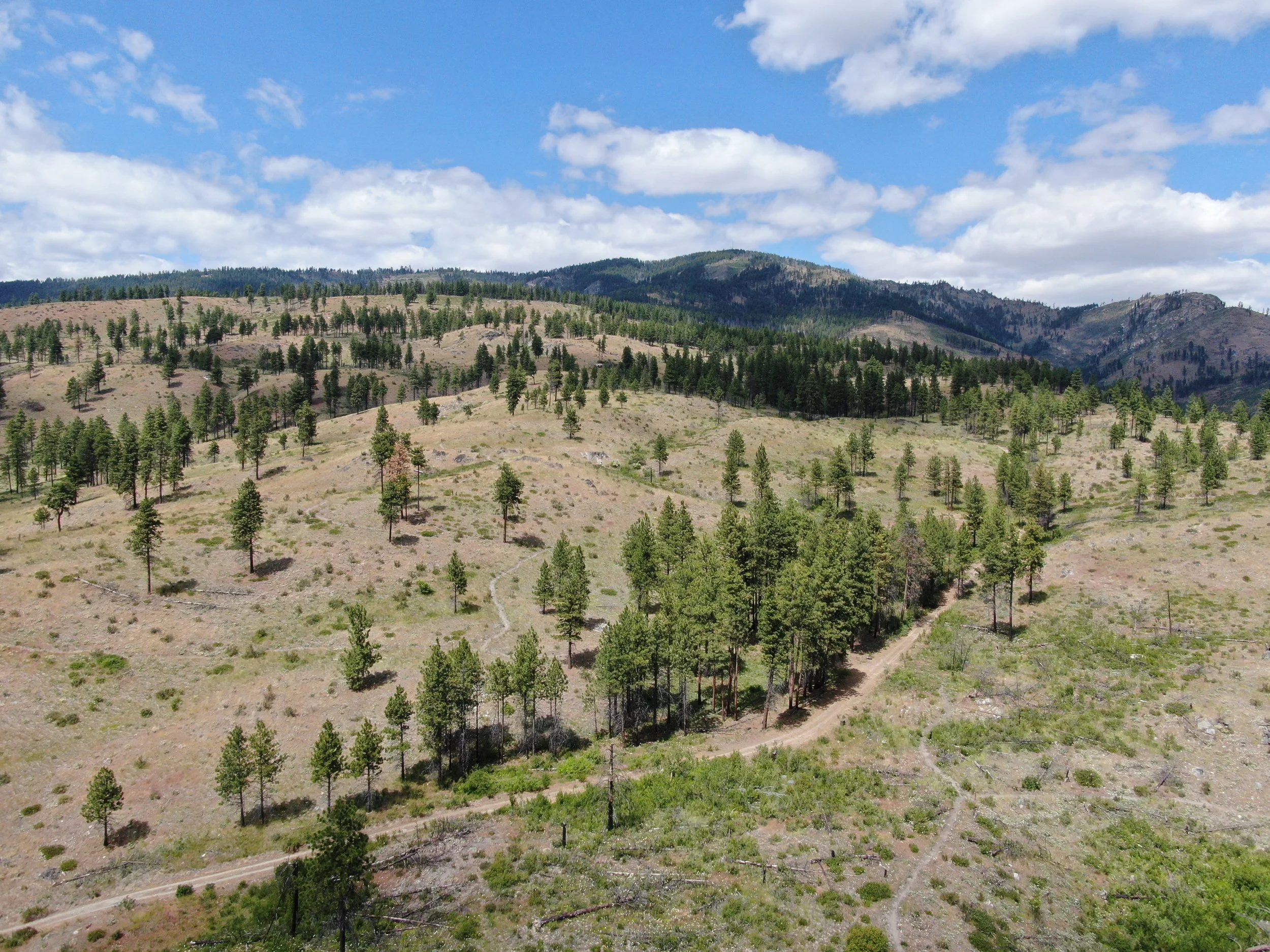 Upper Preserve and Goat Mountain