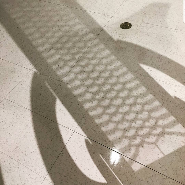 screen shadow.png