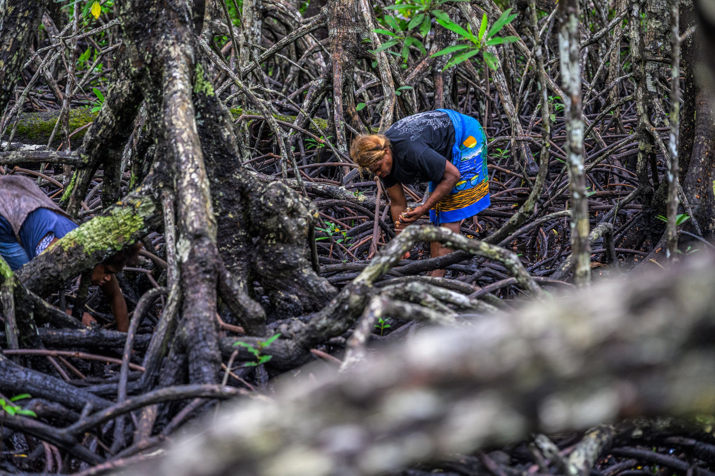 GIZ-kavieng-conservation-papua-new-guinea-tom-vierus-16.jpg