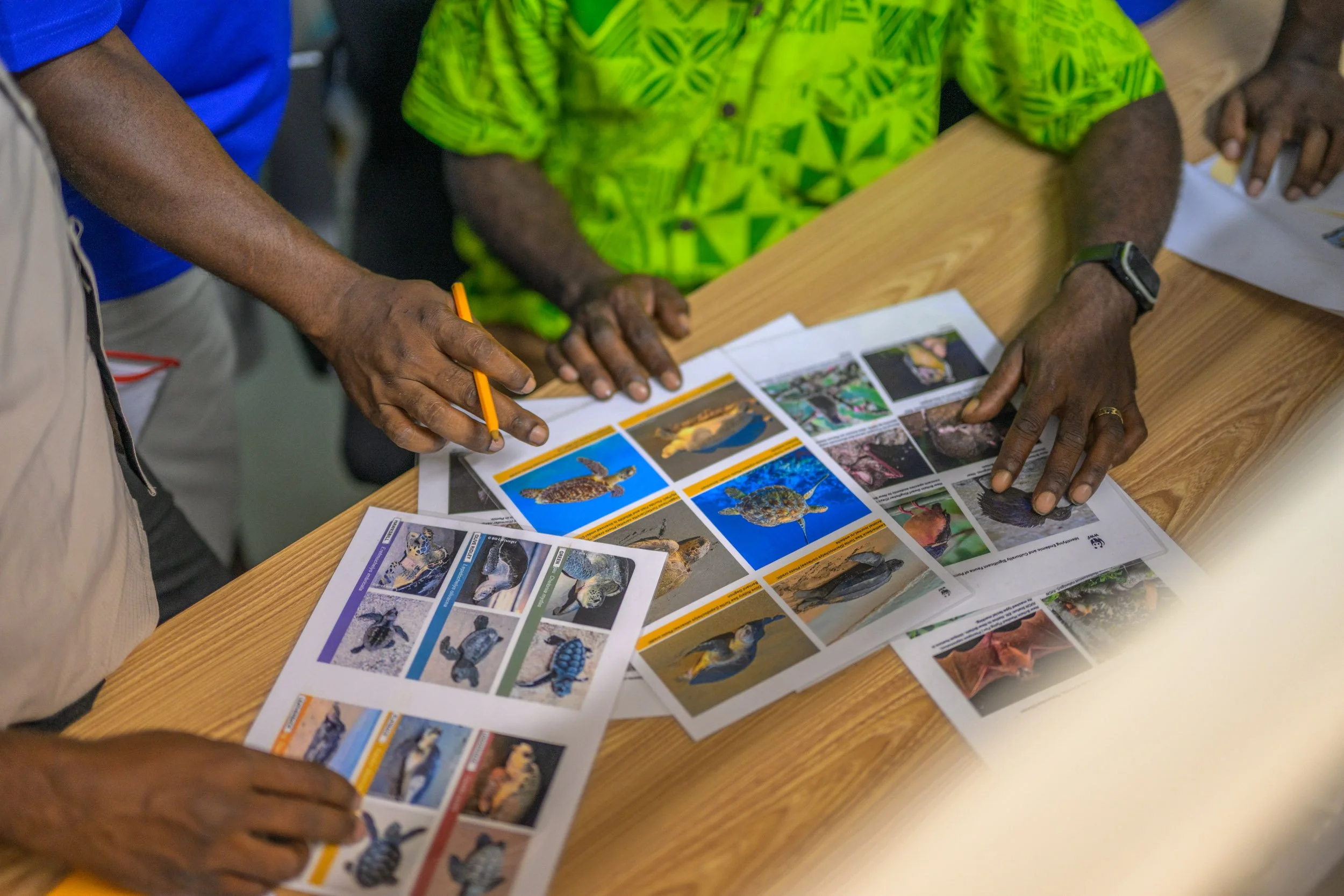 wwf-pomio-conservation-papua-new-guinea-tom-vierus-19.jpg