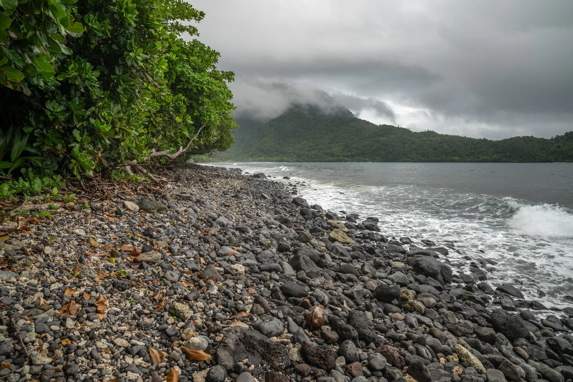 Birdlife International_Tom Vierus_Manumea Expedition-64.jpg