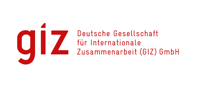 GIZ logo.png