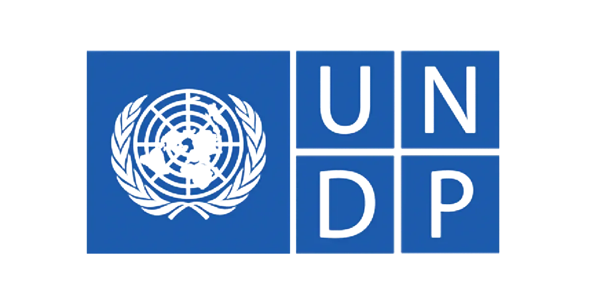 UNDP logo.webp