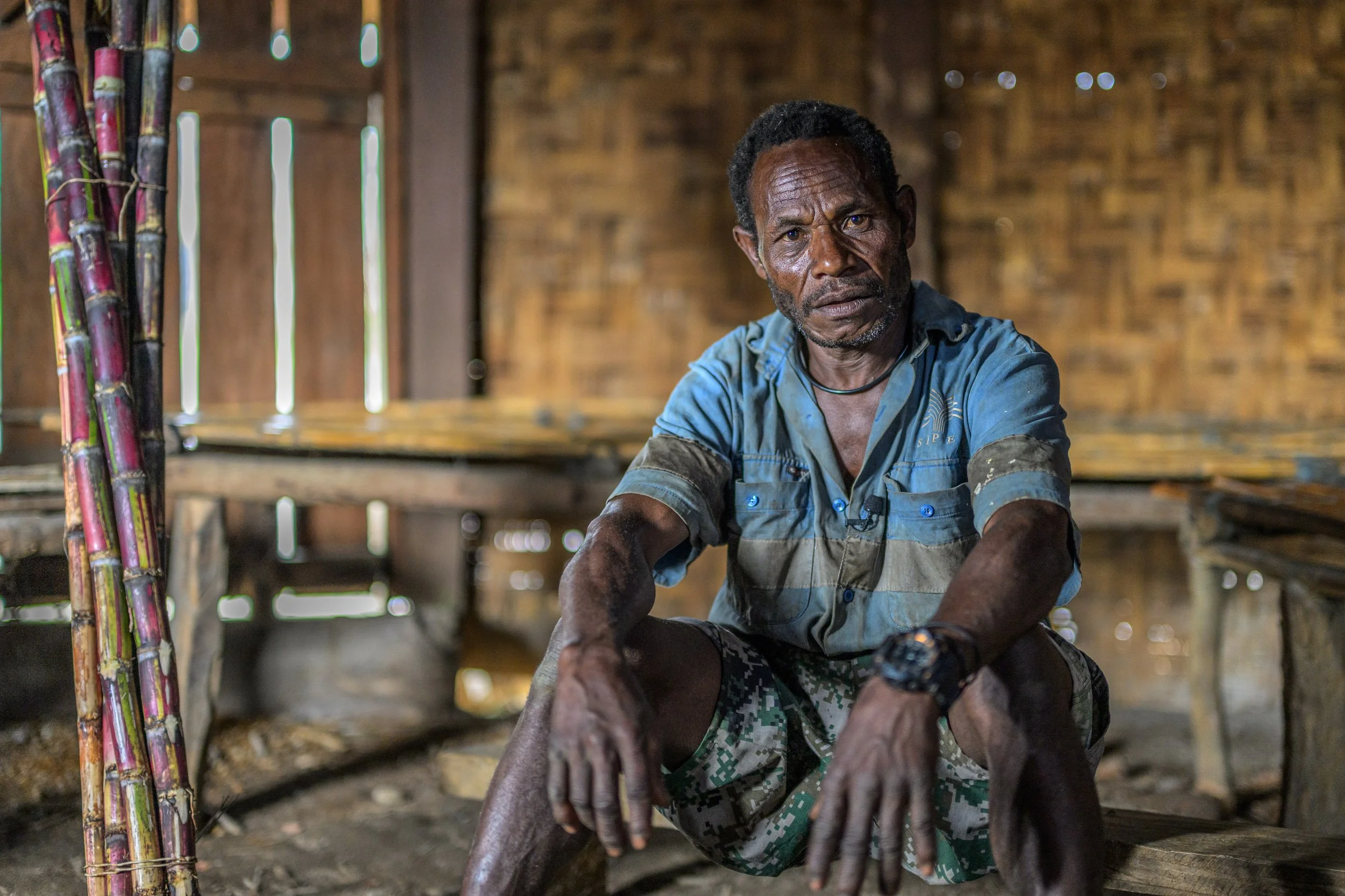 wwf-pomio-conservation-papua-new-guinea-tom-vierus-15.jpg
