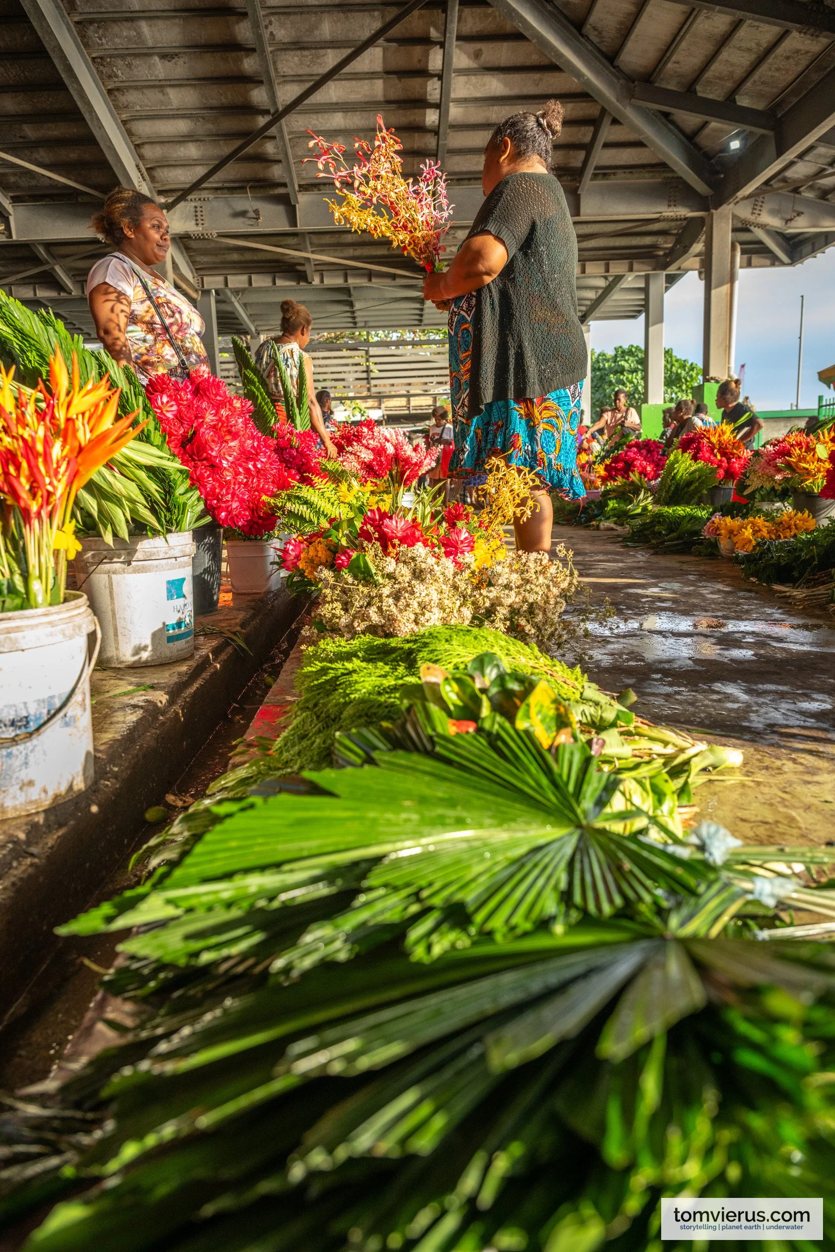 tom-vierus-solomon-islands-sprep-pebacc-plus-23.jpg