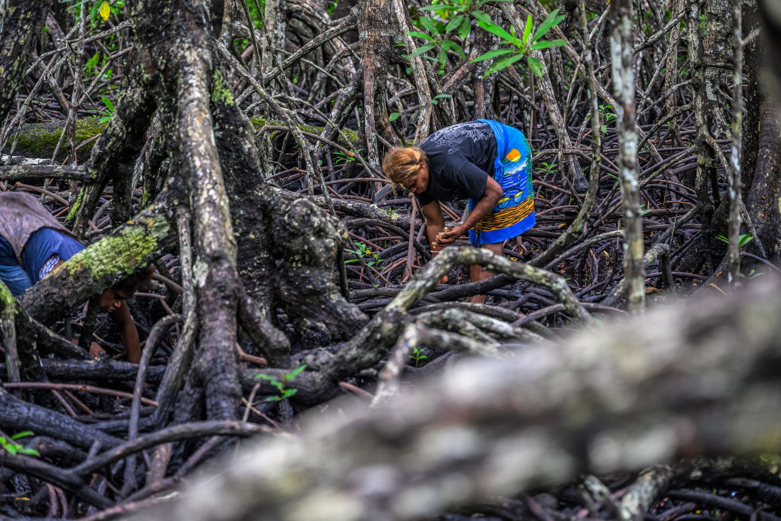 GIZ-kavieng-conservation-papua-new-guinea-tom-vierus-16.jpg