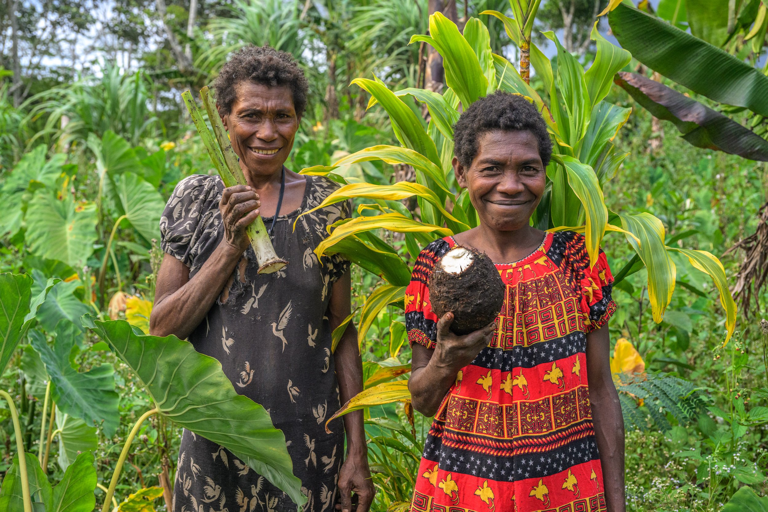 wwf-pomio-conservation-papua-new-guinea-tom-vierus-10.jpg