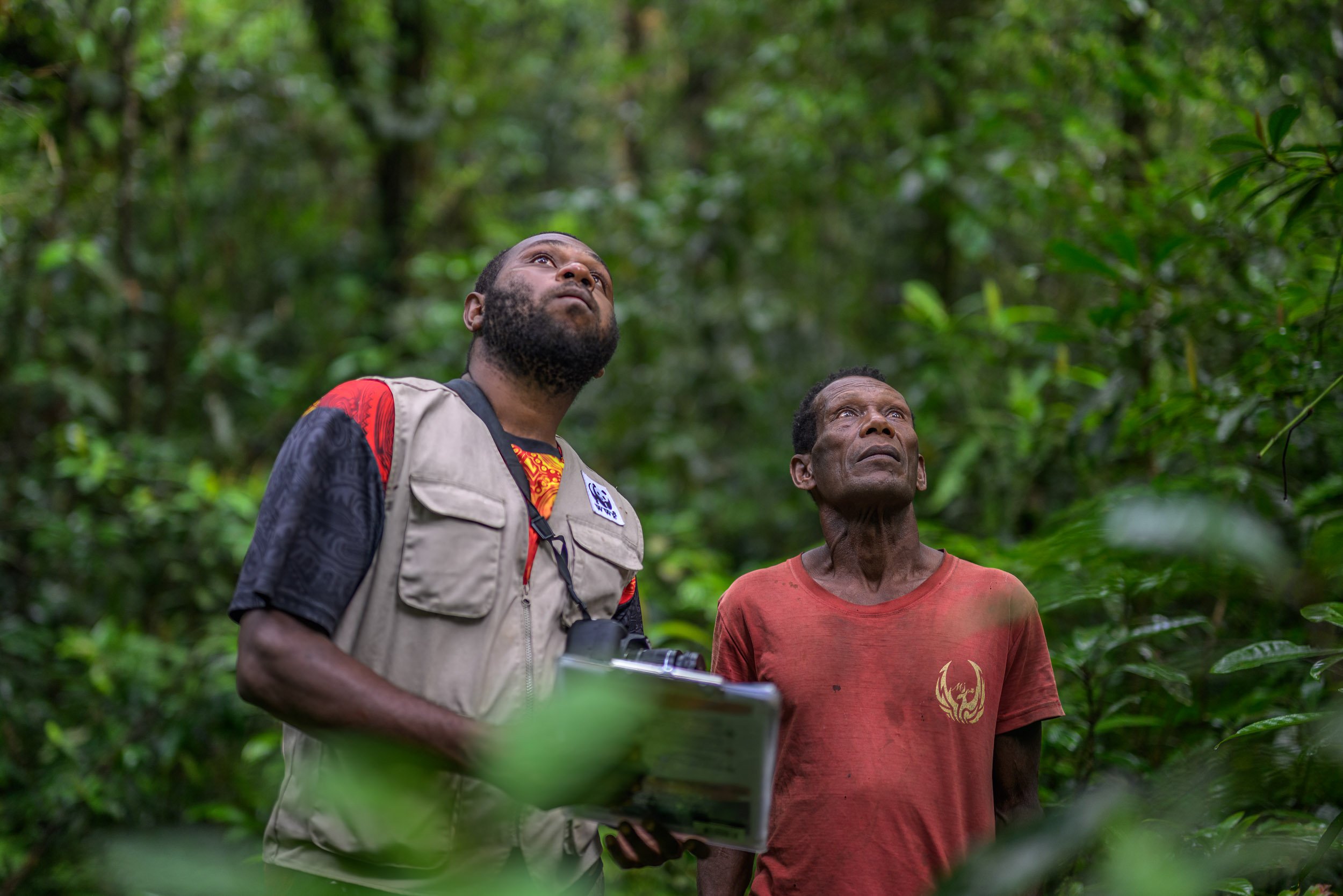 wwf-pomio-conservation-papua-new-guinea-tom-vierus-26.jpg